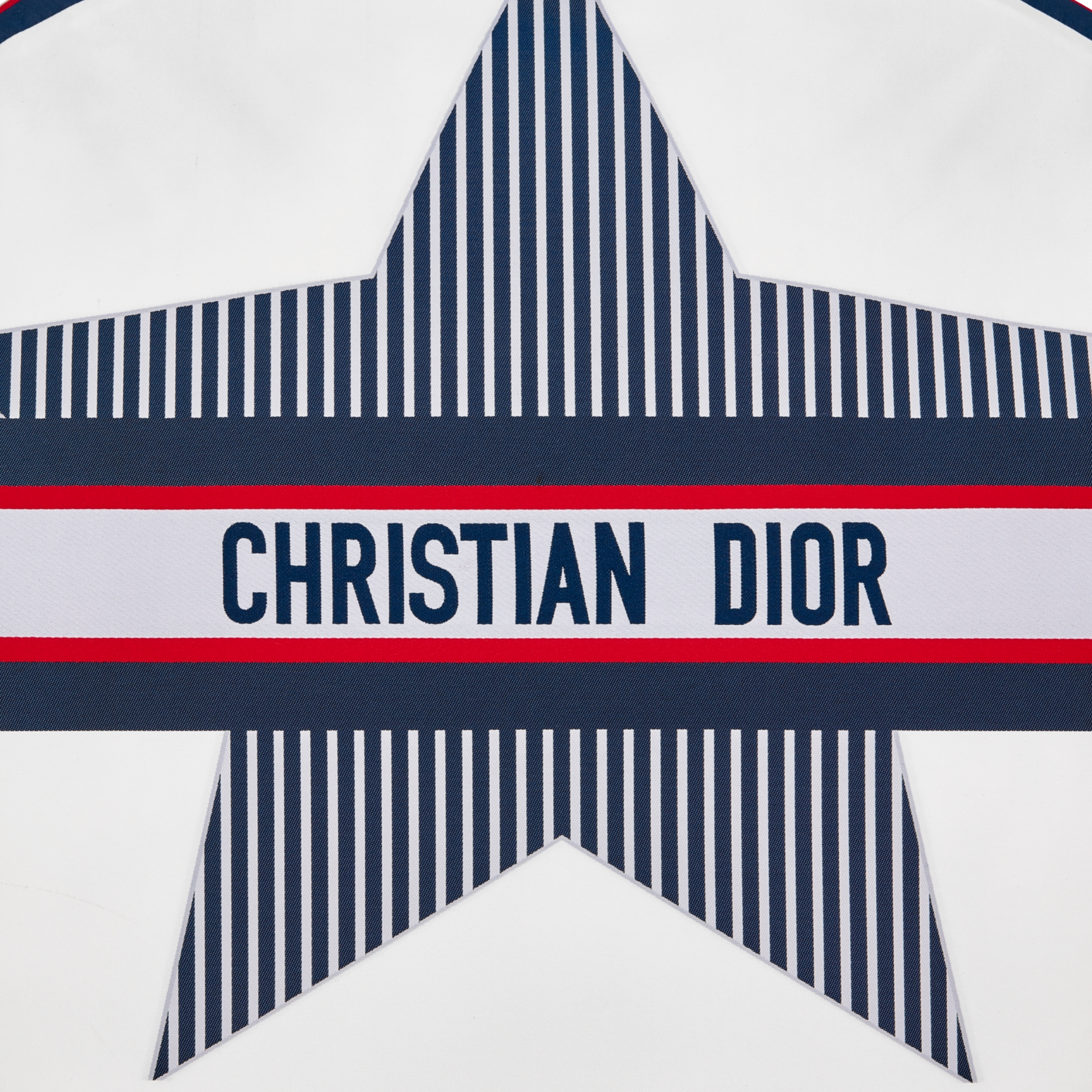 DiorAlps 连帽夹克 白色绗缝塔夫绸科技面料三色 Dior Star 图案 E09