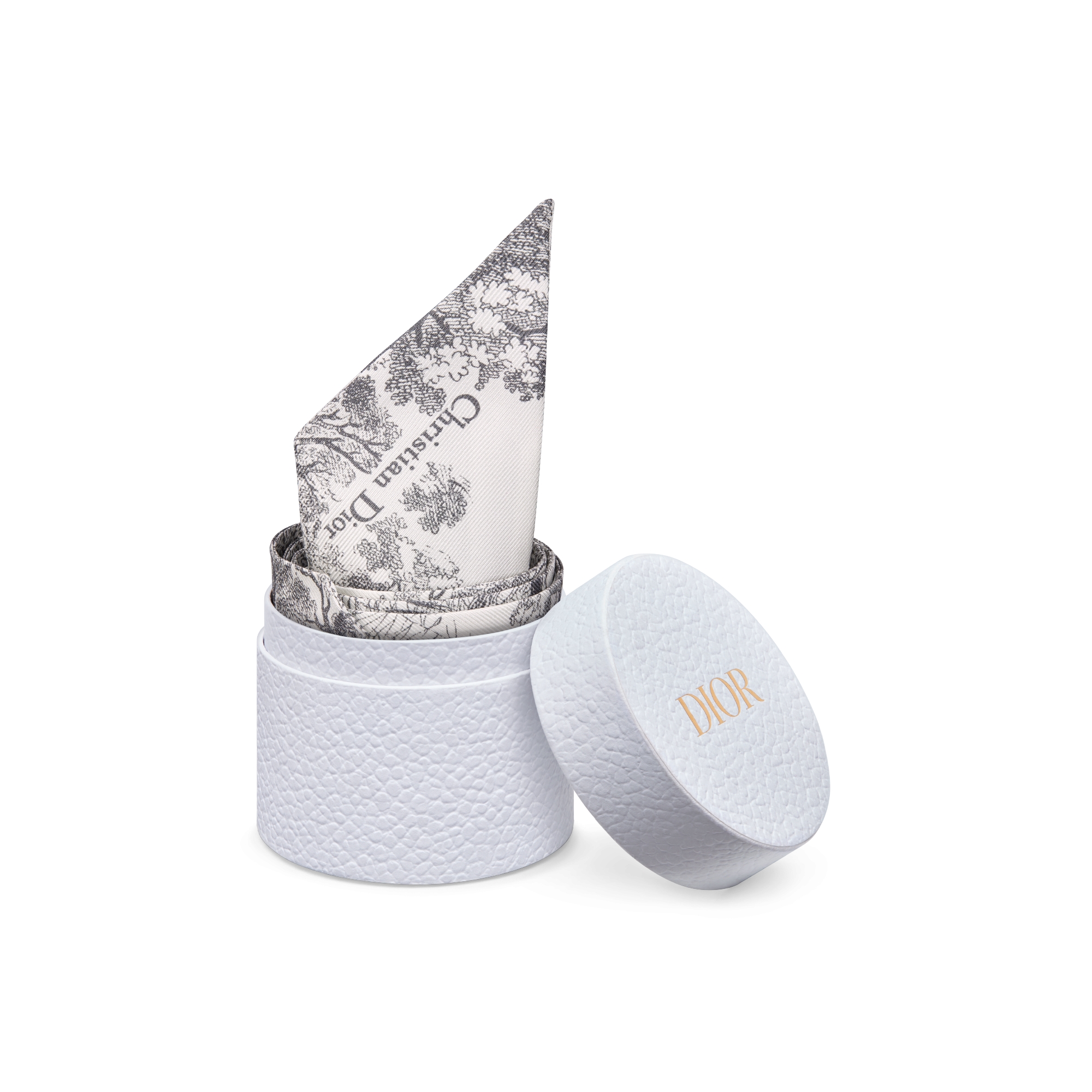 Mitzah 丝巾 象牙色和灰色桑蚕丝斜纹面料 Sauvage 茹伊印花 E10