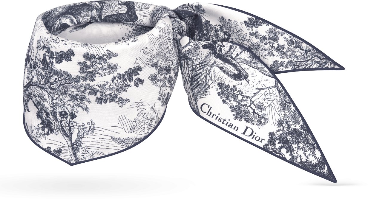 Dior Diamond 丝巾 象牙色和海军蓝色桑蚕丝斜纹面料 Sauvage 茹伊印花 | DIOR
