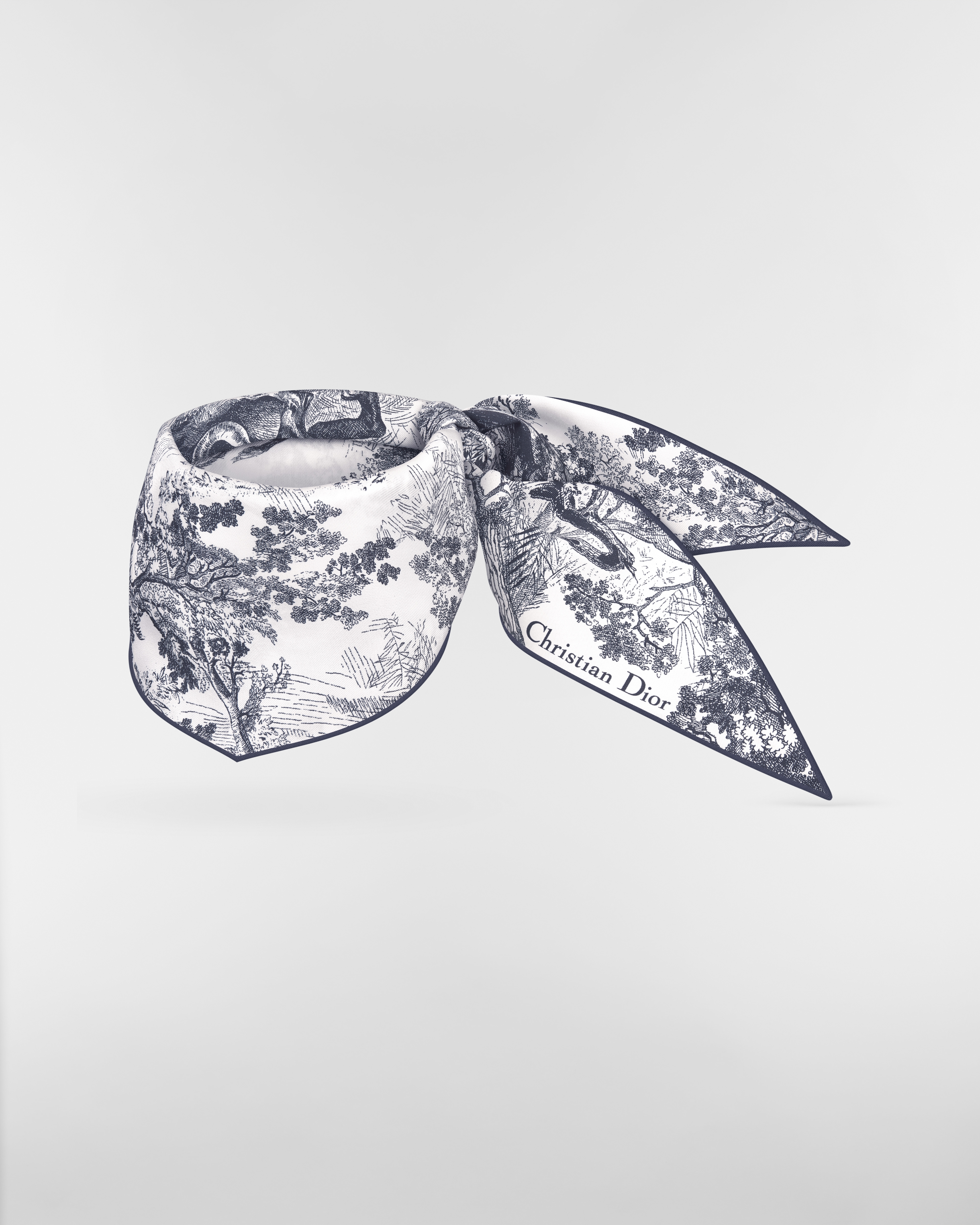 Dior Diamond 丝巾 象牙色和海军蓝色桑蚕丝斜纹面料 Sauvage 茹伊印花 E02