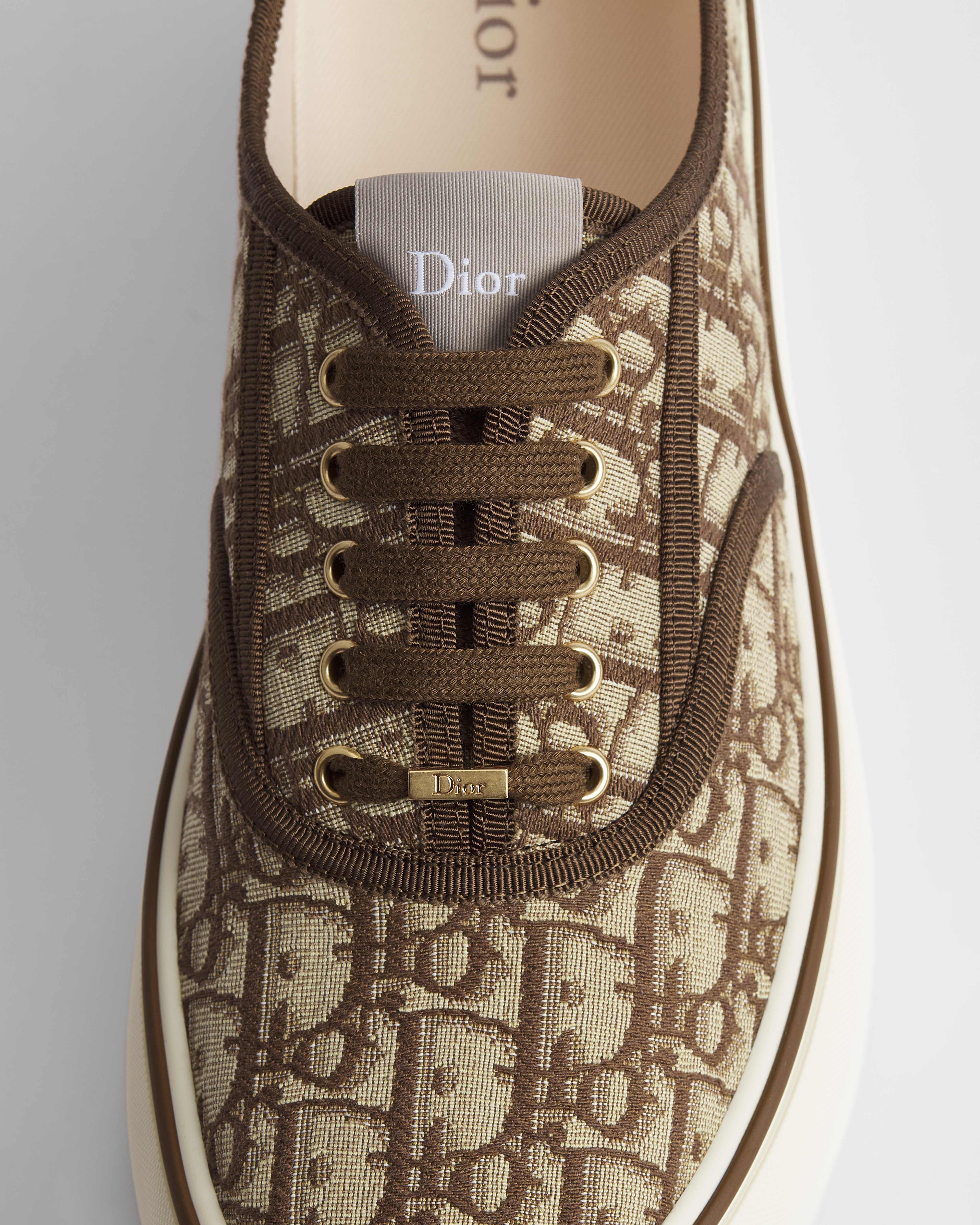 Dior Saltwind 运动鞋 棕色 Oblique 印花面料 E09