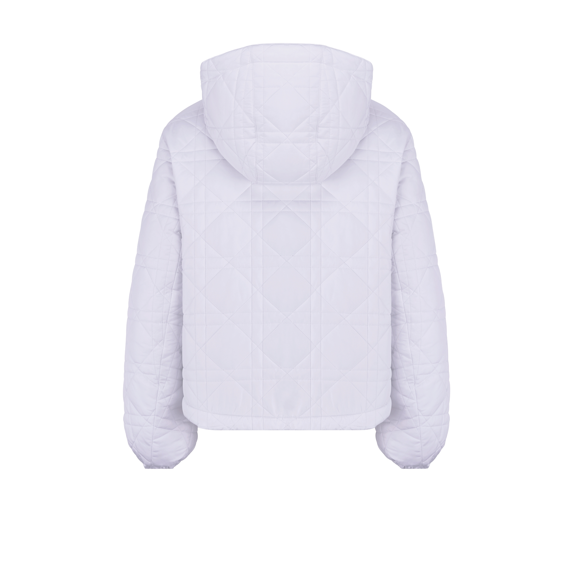 DiorAlps 短款连帽夹克 白色绗缝塔夫绸科技面料超大藤格纹 E08