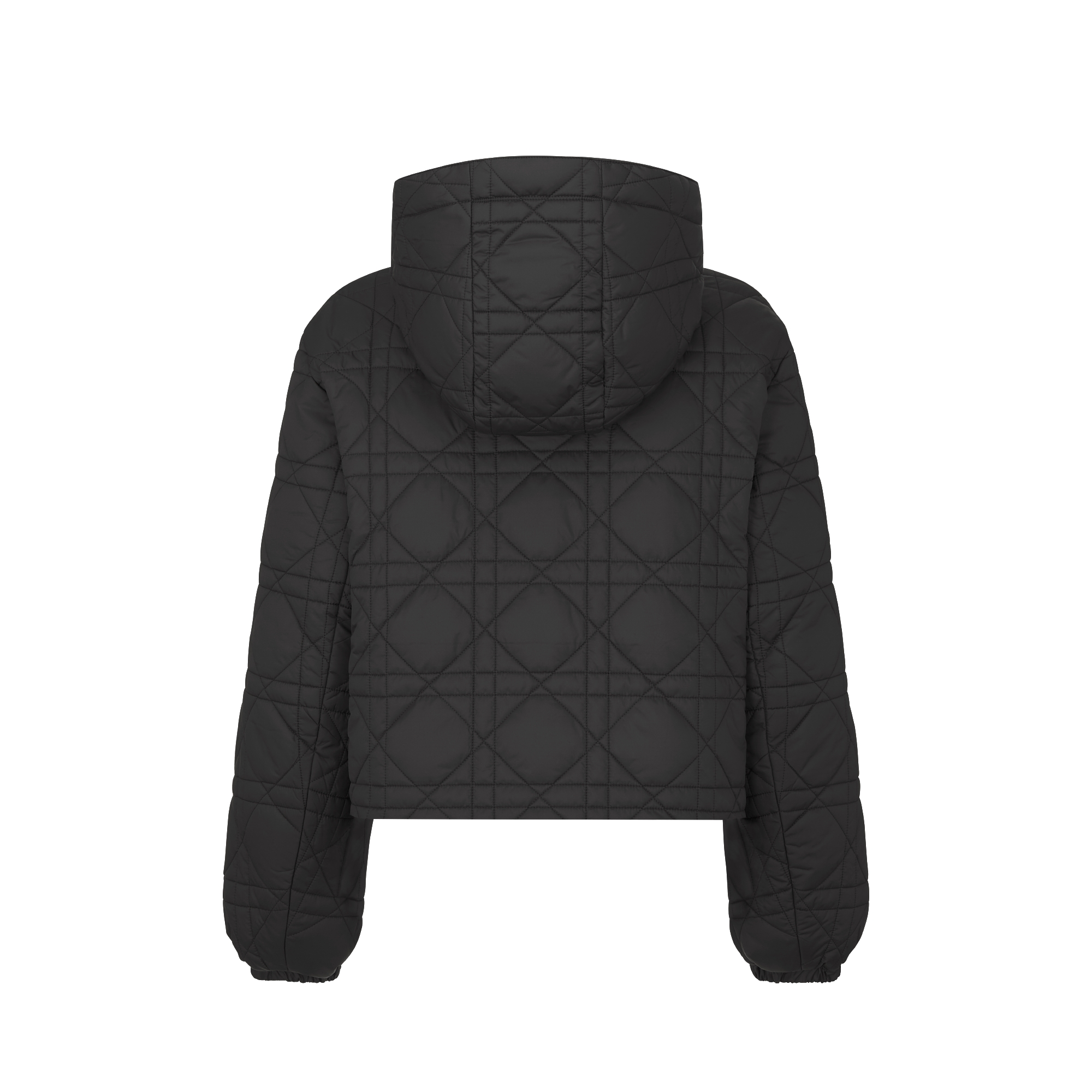 DiorAlps 短款连帽夹克 黑色塔夫绸科技面料绗缝效果超大藤格纹 E08