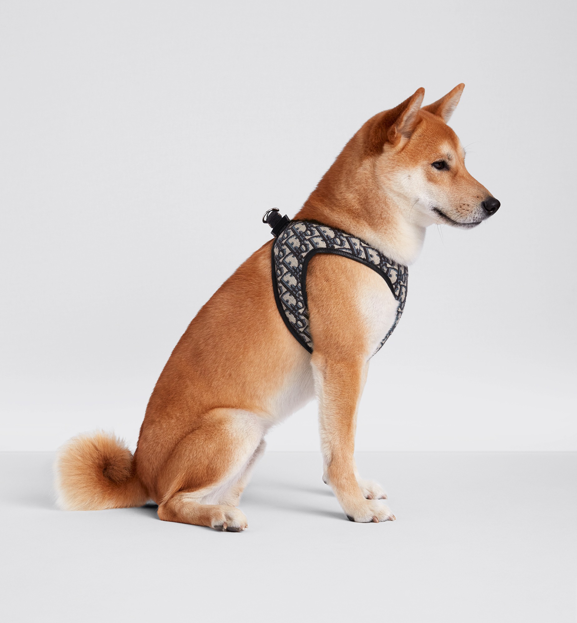 宠物胸背带 米色和黑色 Oblique 印花面料 E12