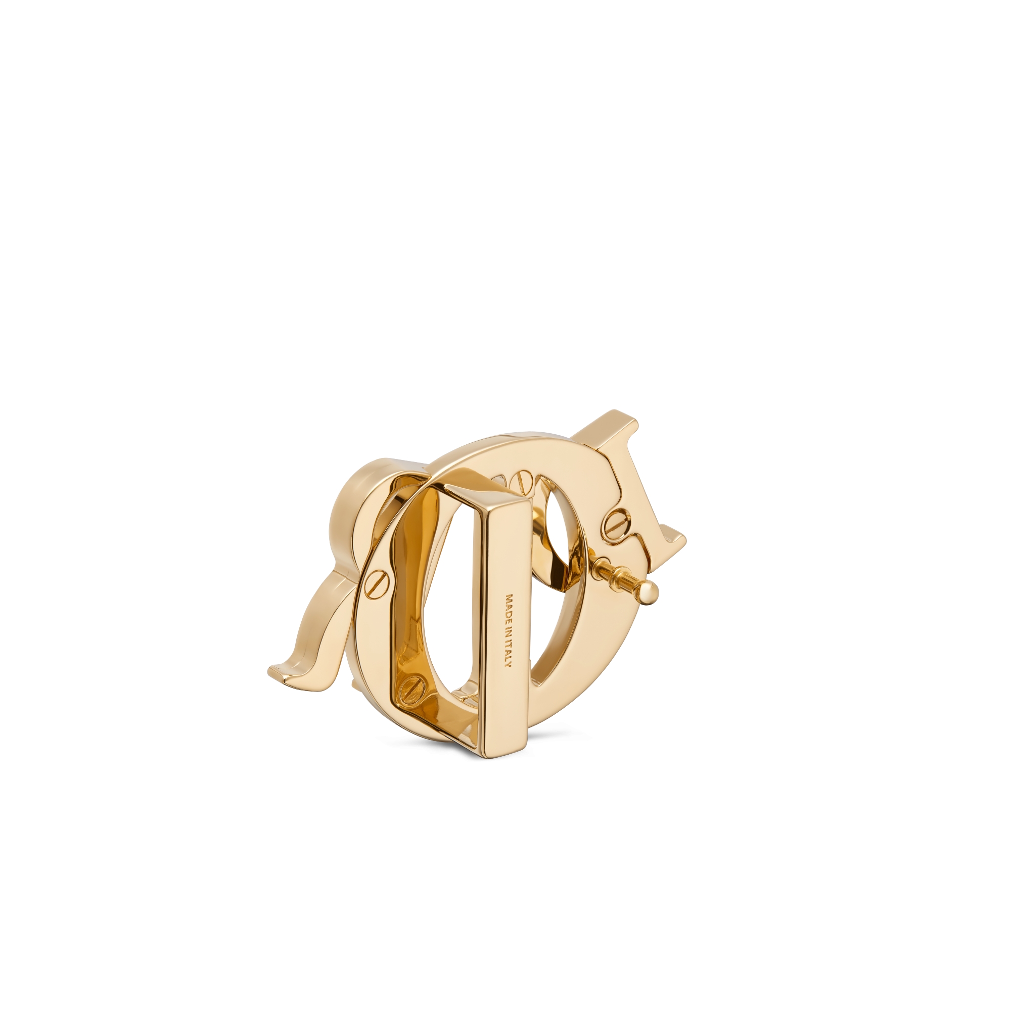 Dior Charm 腰带扣 35 毫米金色饰面黄铜 E05