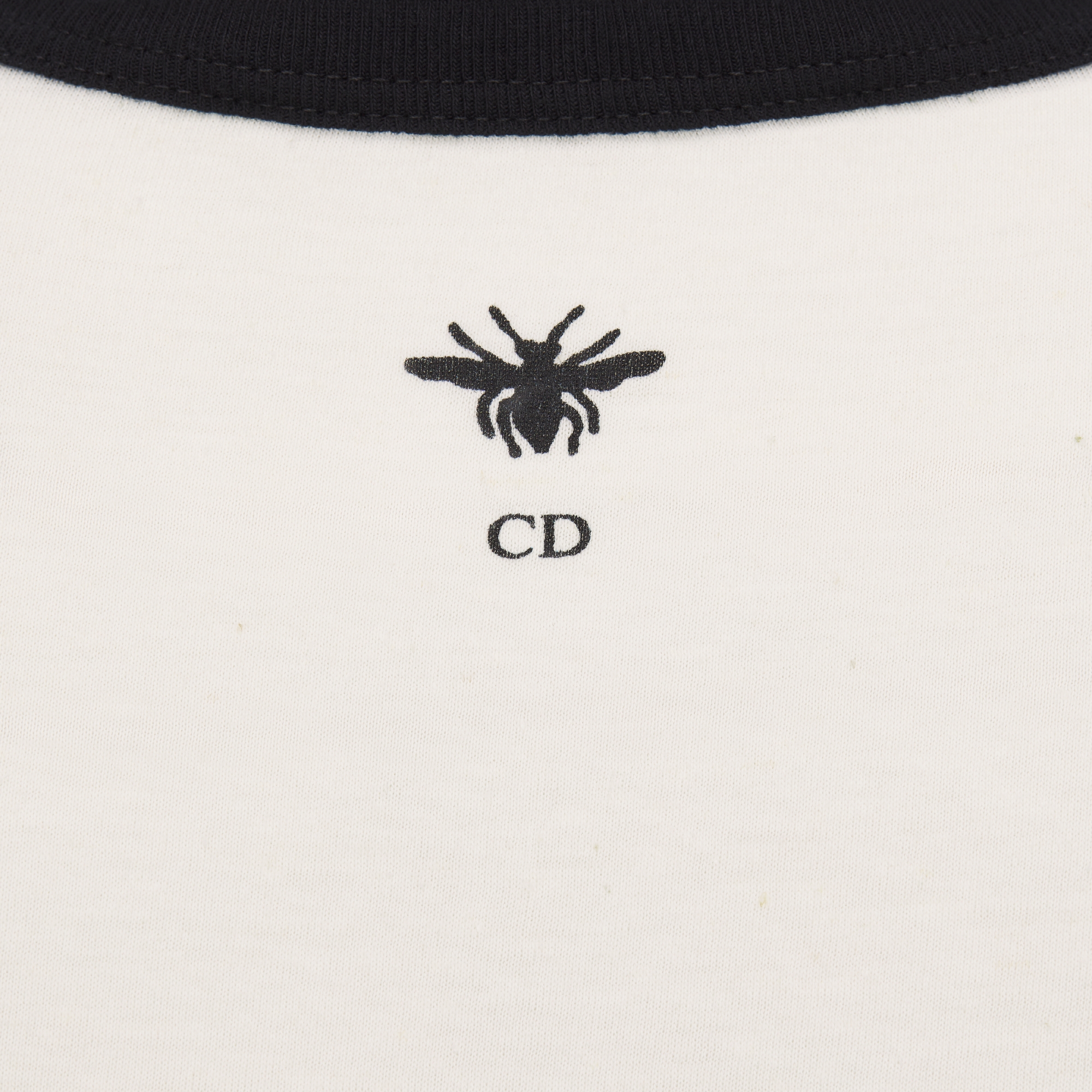 T 恤 白色和黑色棉质混纺平纹针织面料 E09