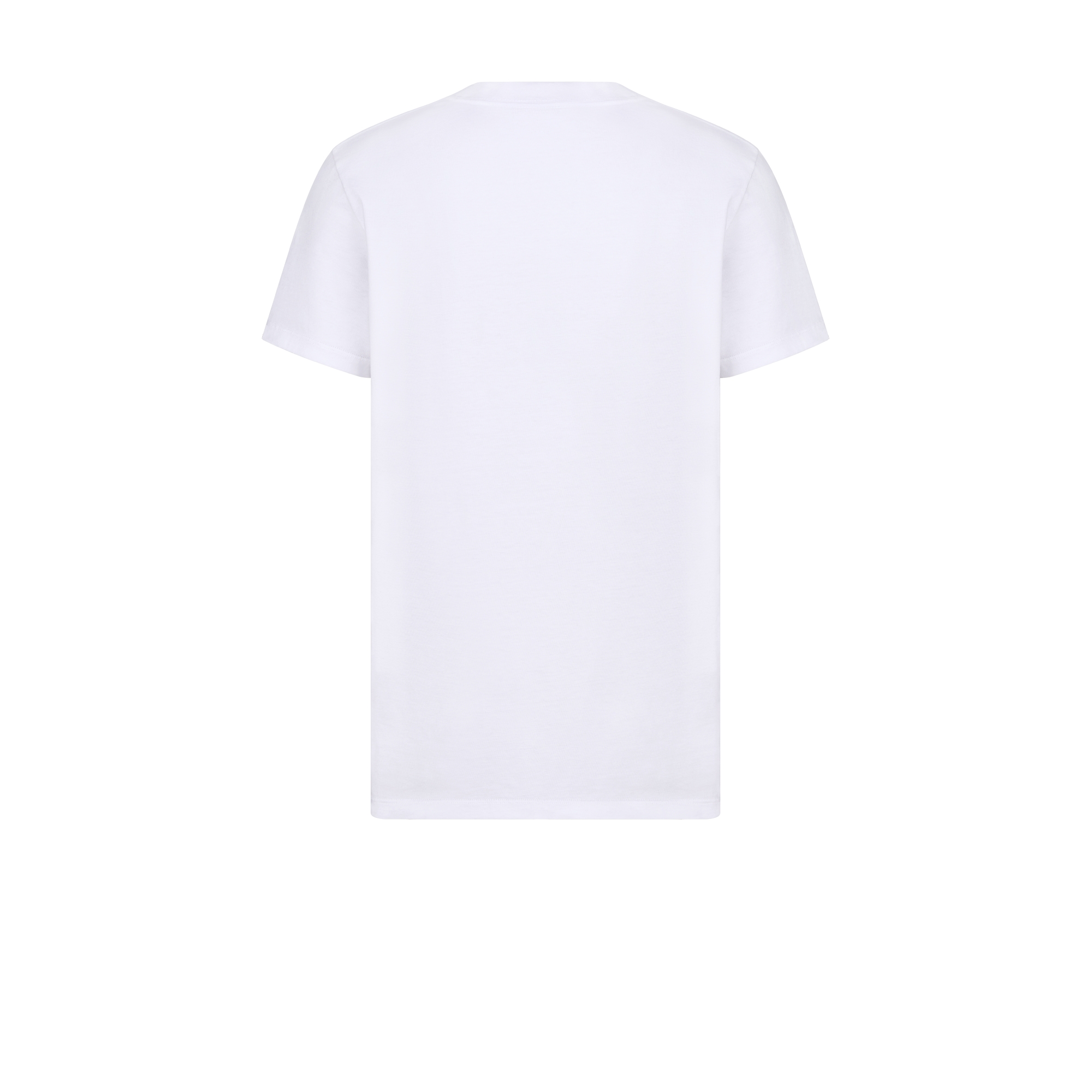 常规版型 T 恤 白色丝光棉质平纹针织面料 Dior Montaigne 印花 E08