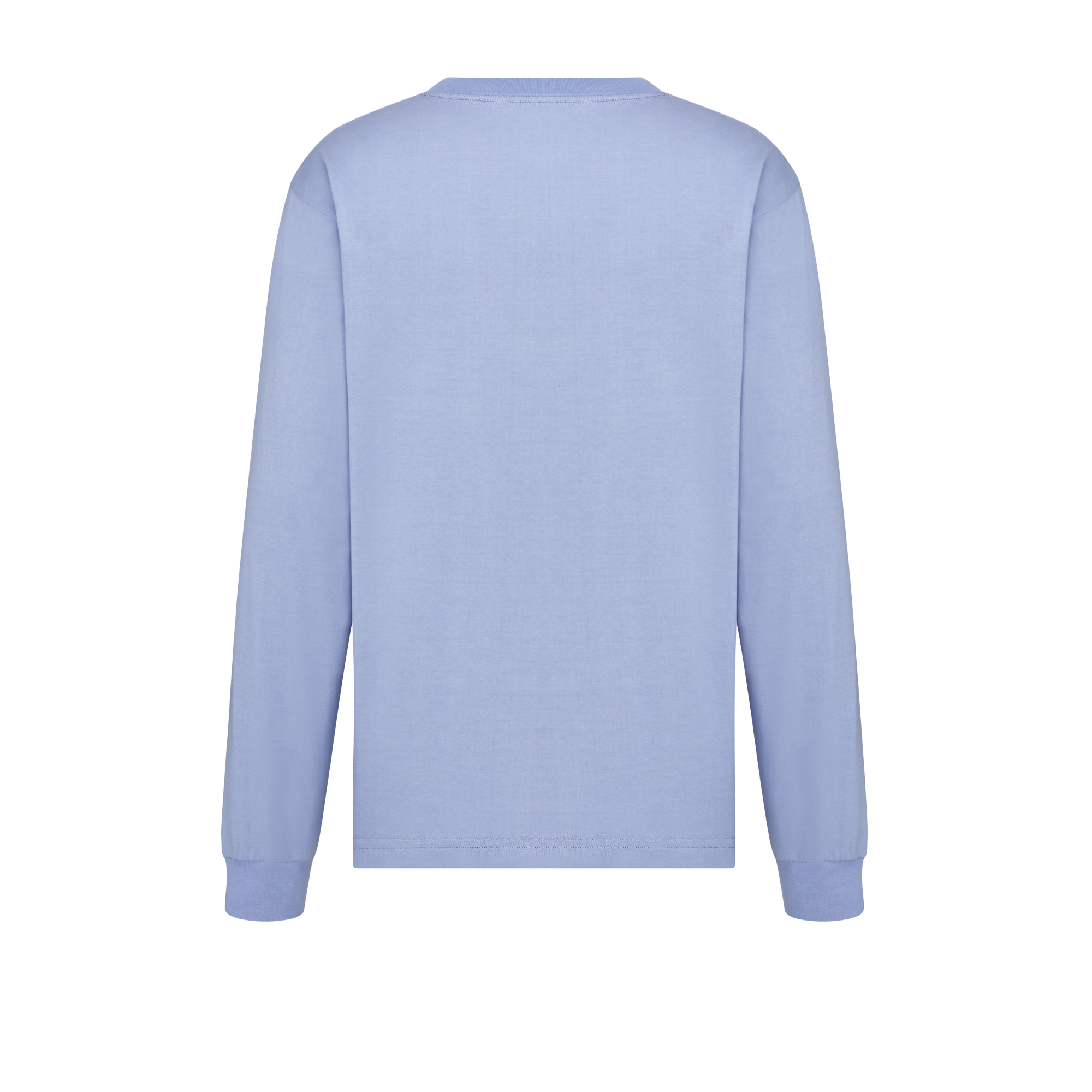 宽松版型长袖 T 恤 蓝色棉质平纹针织面料 Dior Mountain 刺绣 E08