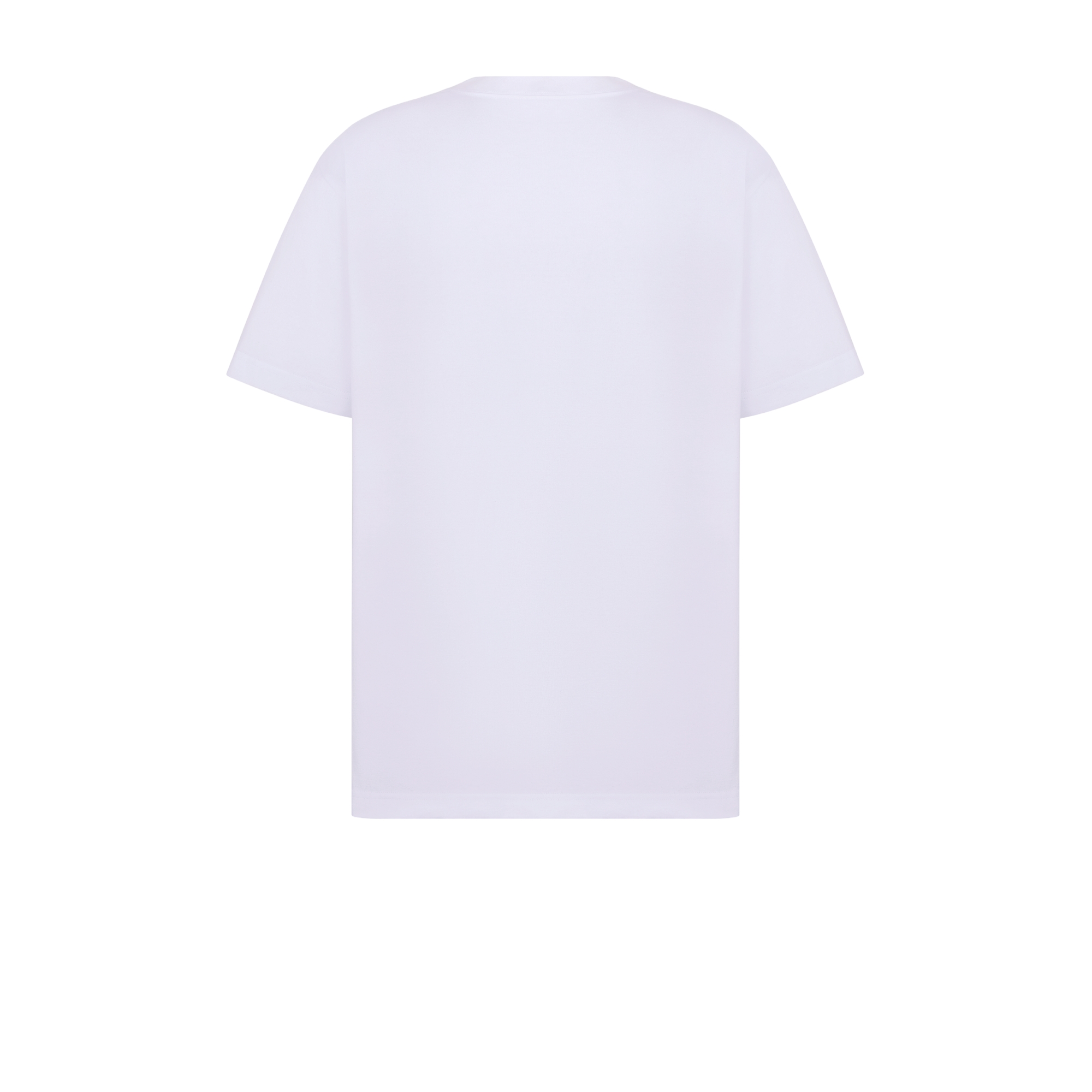 宽松版型 T 恤 白色棉质平纹针织面料 Dior Mountain 刺绣 E08