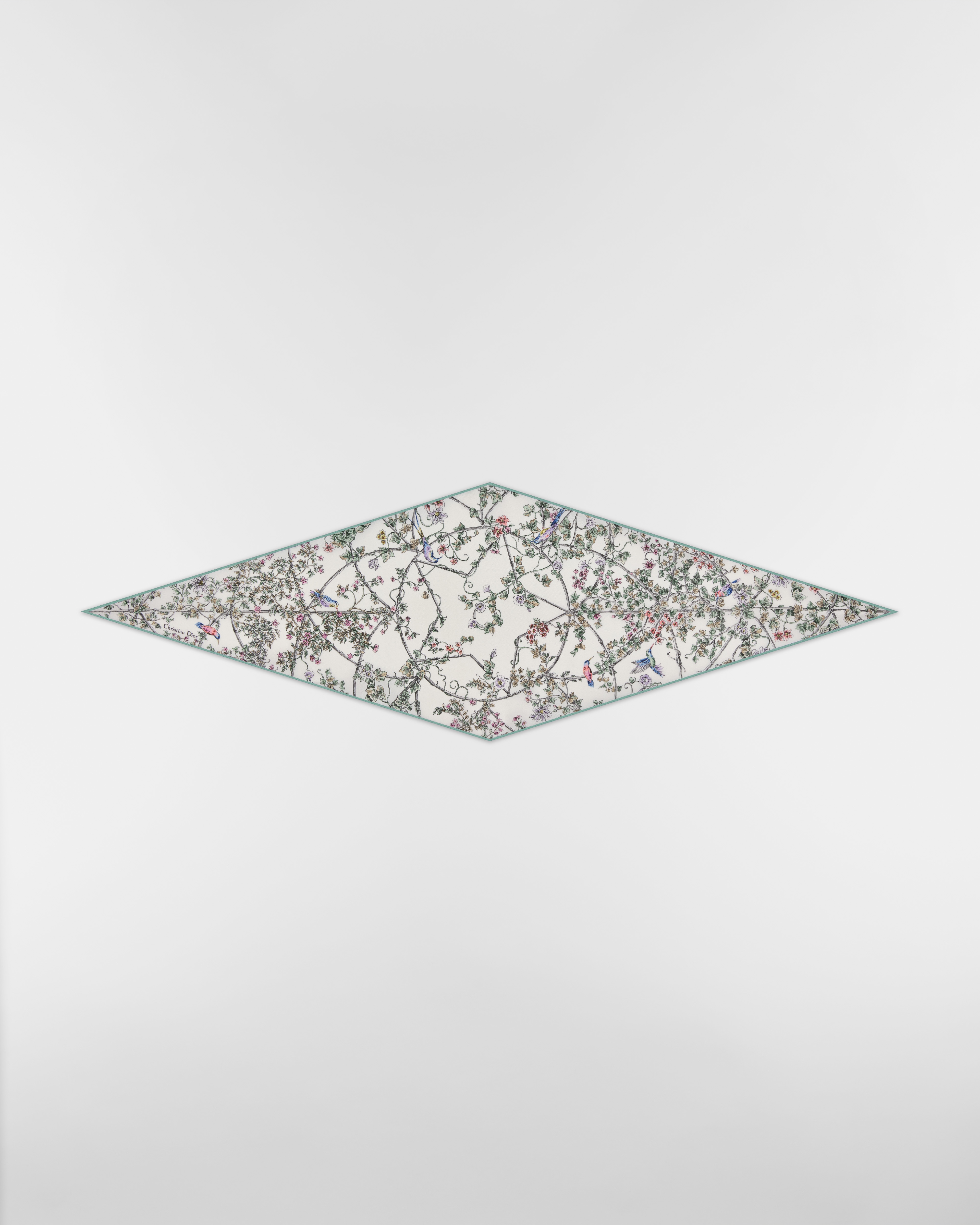 Dior Diamond 丝巾 多色桑蚕丝斜纹面料 Jardin D-Étoile 图案 E01