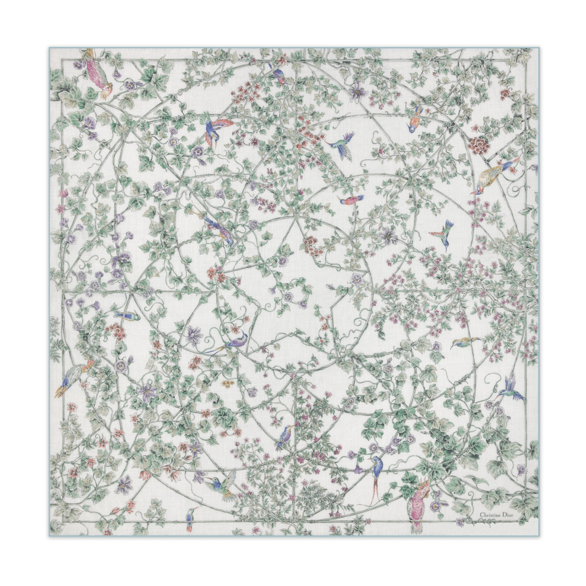 Dior 印花披肩 多色山羊绒面料 Jardin D-Étoile 图案 E01