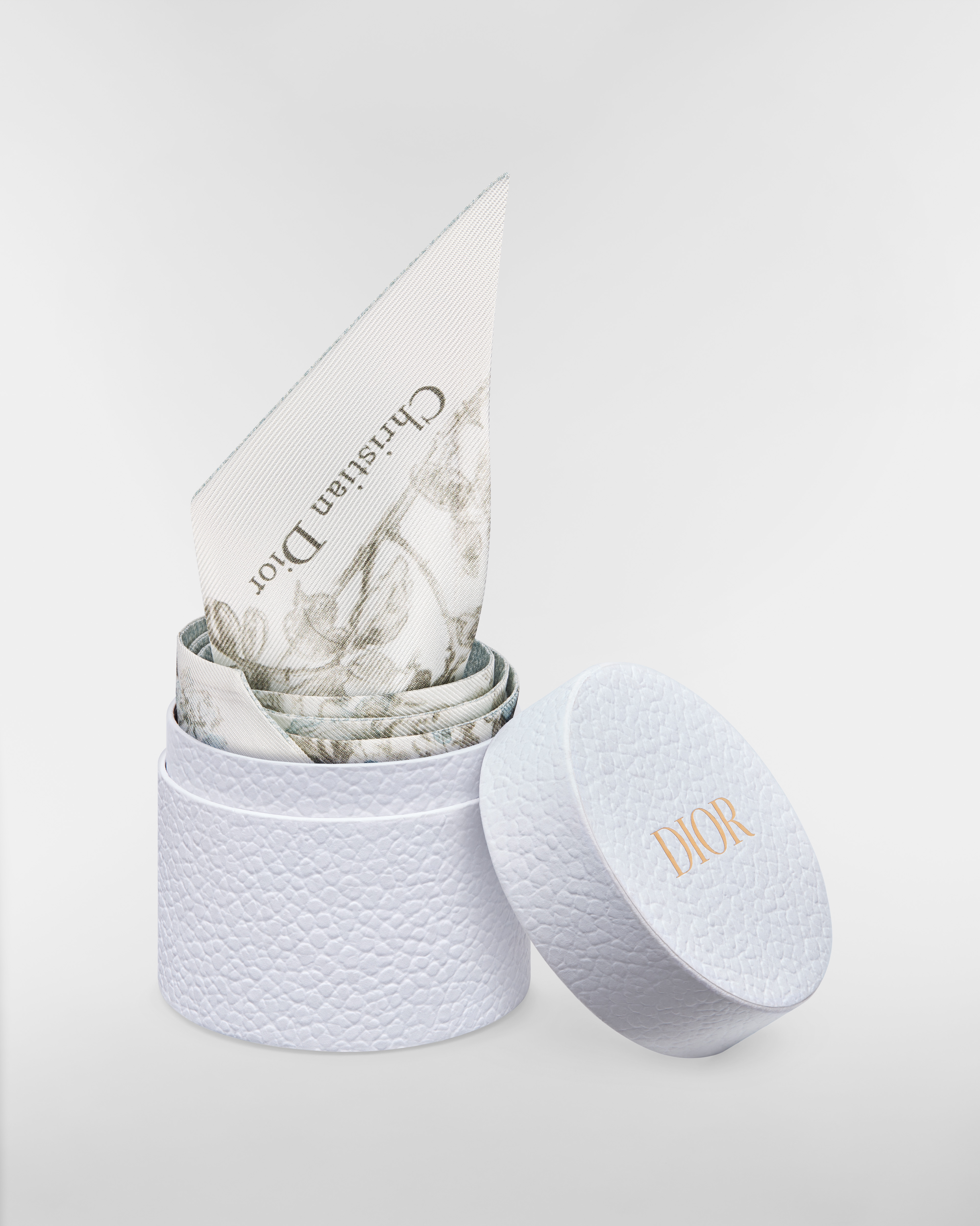 Mitzah 丝巾 白色和天蓝色桑蚕丝斜纹面料 Rosier de Dior 图案 E10