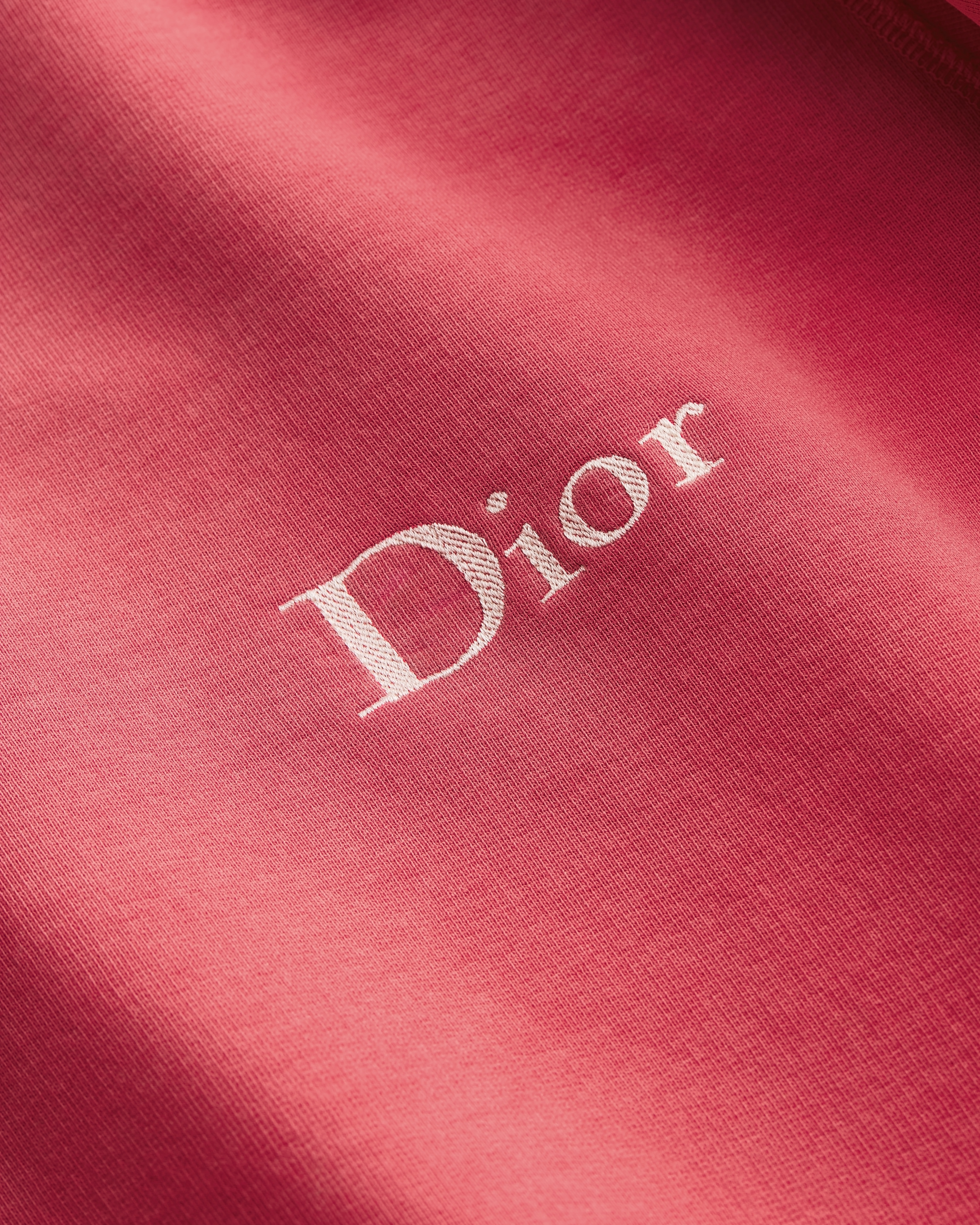 卫衣 红色棉质起绒面料 Dior 刺绣 E09