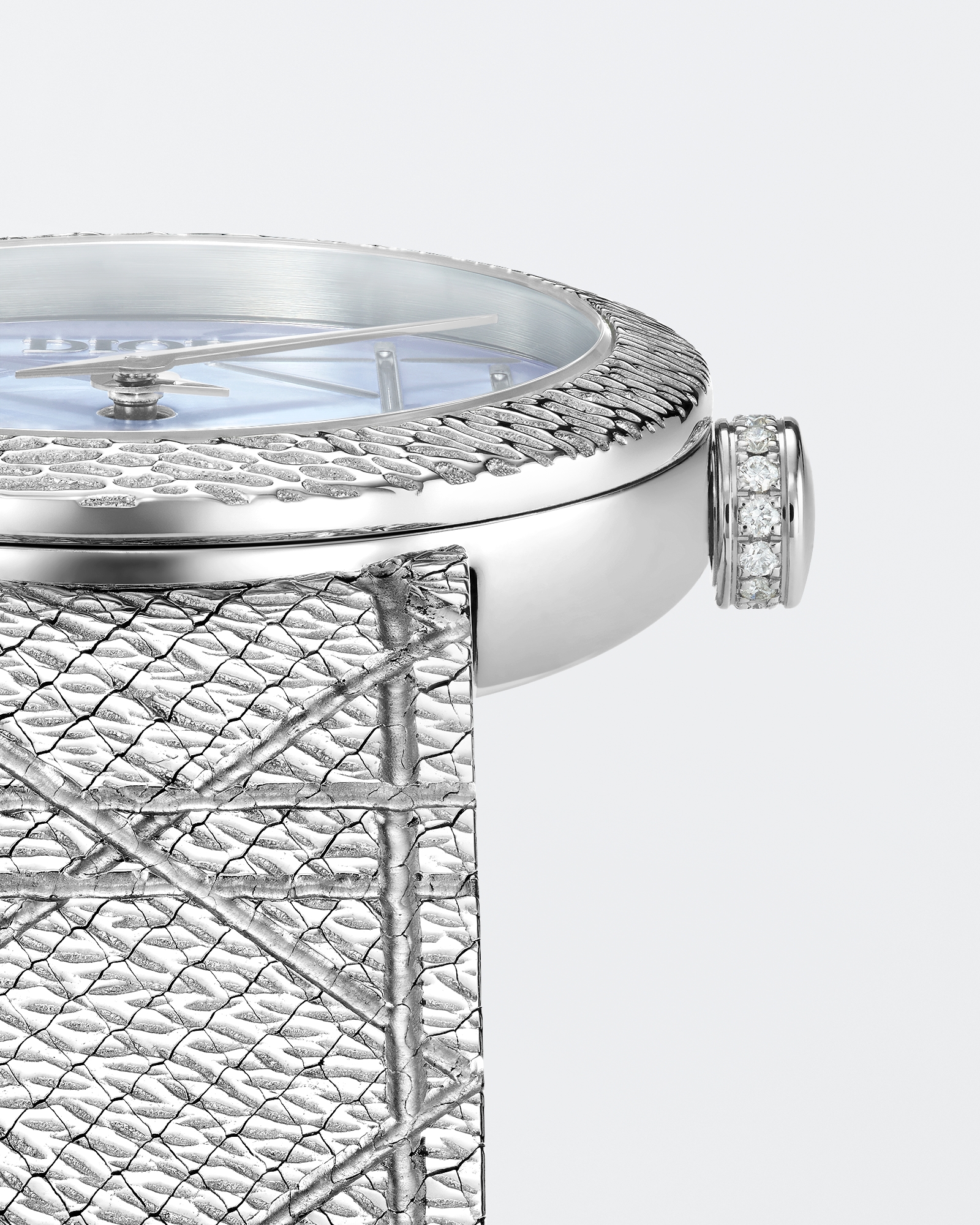 La D My Dior 腕表 直径 25 毫米，钢、灰色珍珠母贝和钻石 E02