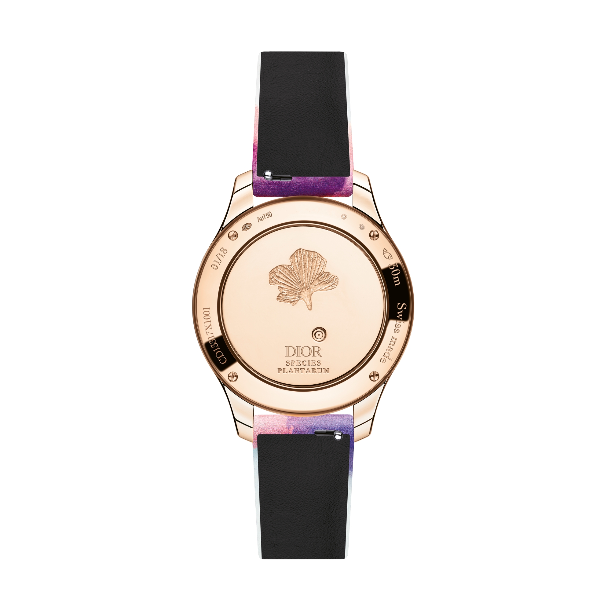 Dior Grand Soir Aquarelle 腕表 直径 36 毫米，石英机芯 E13