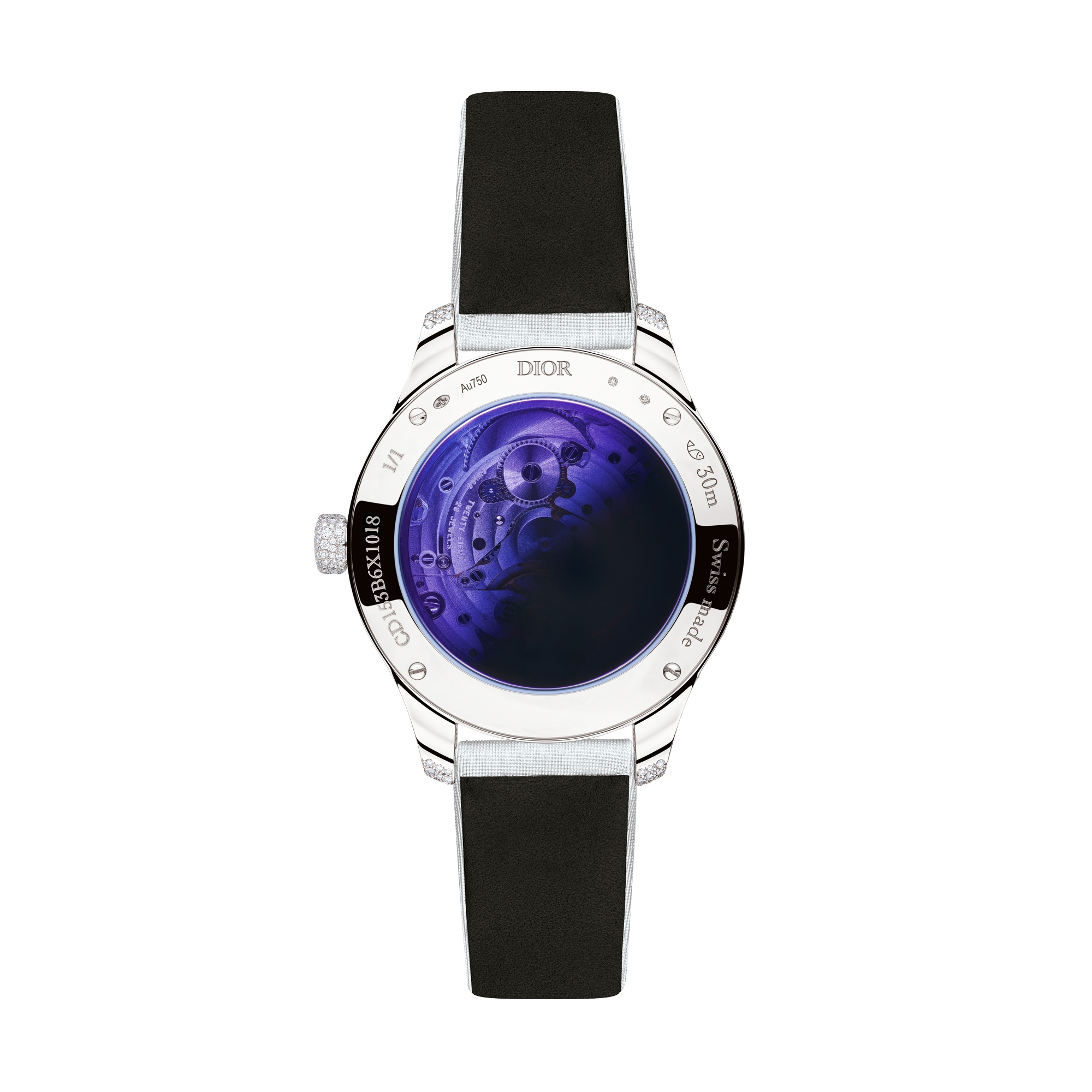 Dior Grand Bal Pièce Unique Parure Tropicale N°2 腕表 直径 36 毫米，自动上链机芯 E13