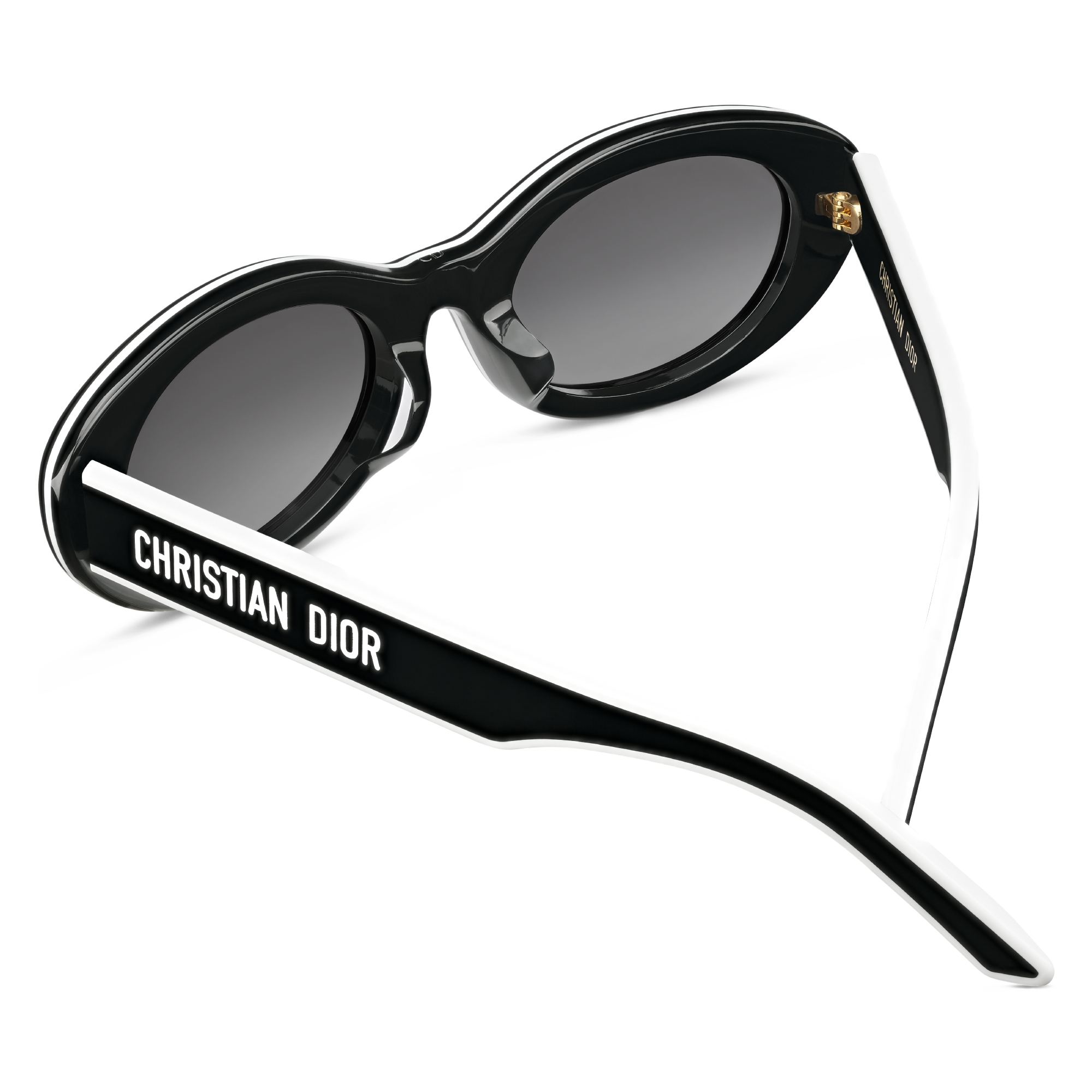 DiorPacific B4F 太阳眼镜 黑色椭圆形镜框 E09