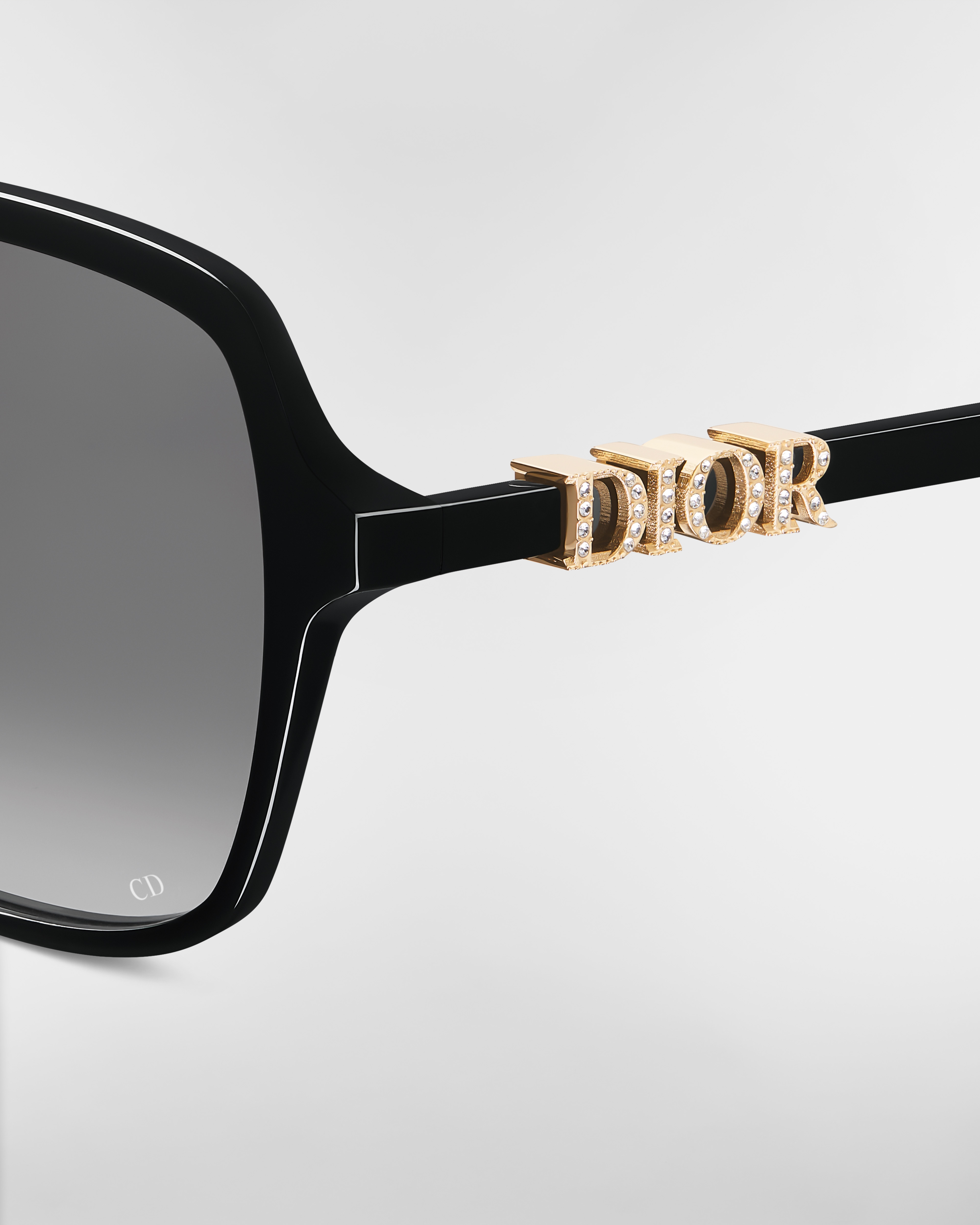 DiorTreasure S1F 太阳眼镜 黑色正方形镜框 E09