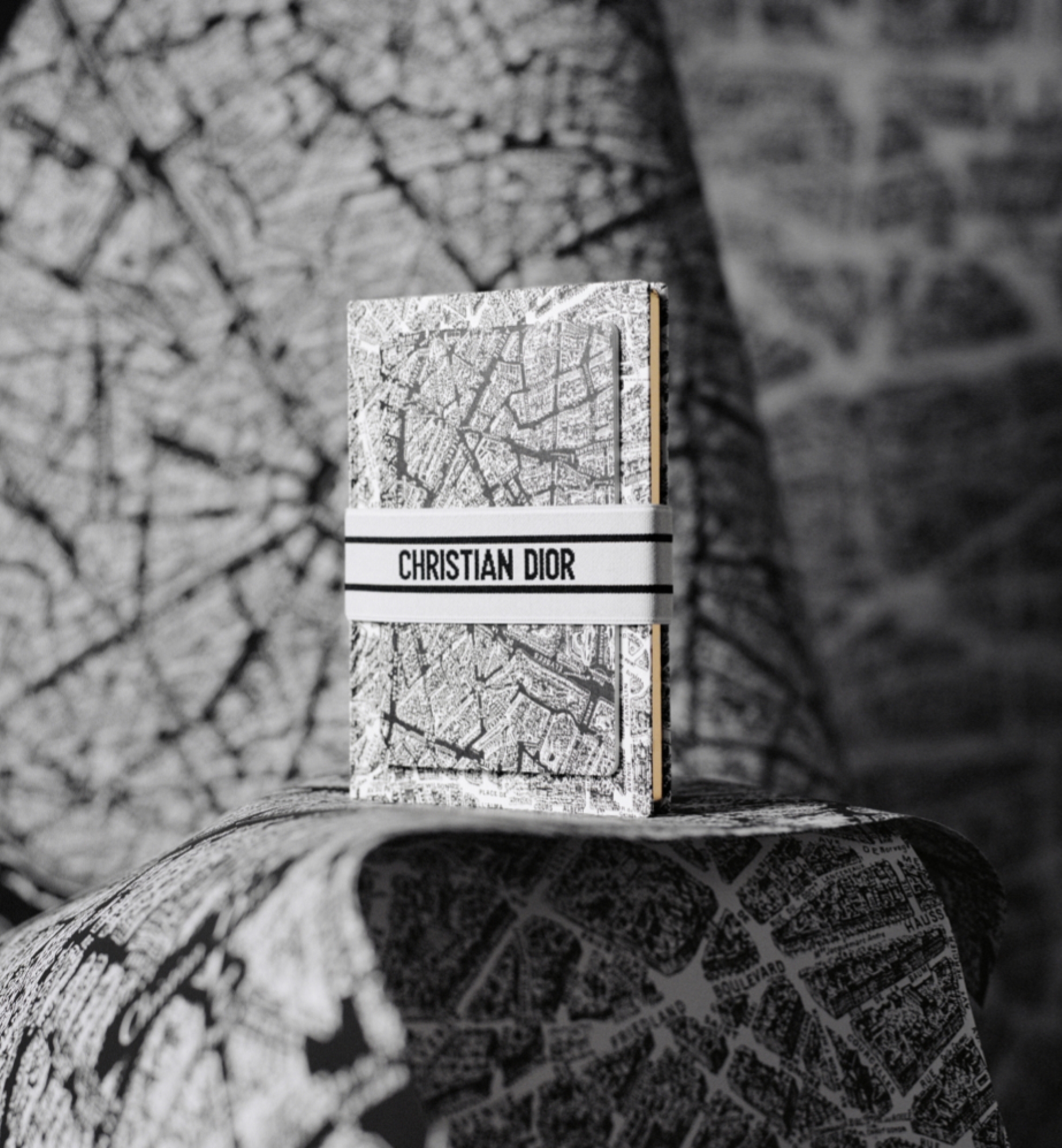 笔记本两件套 白色和黑色 Plan de Paris 图案 E12