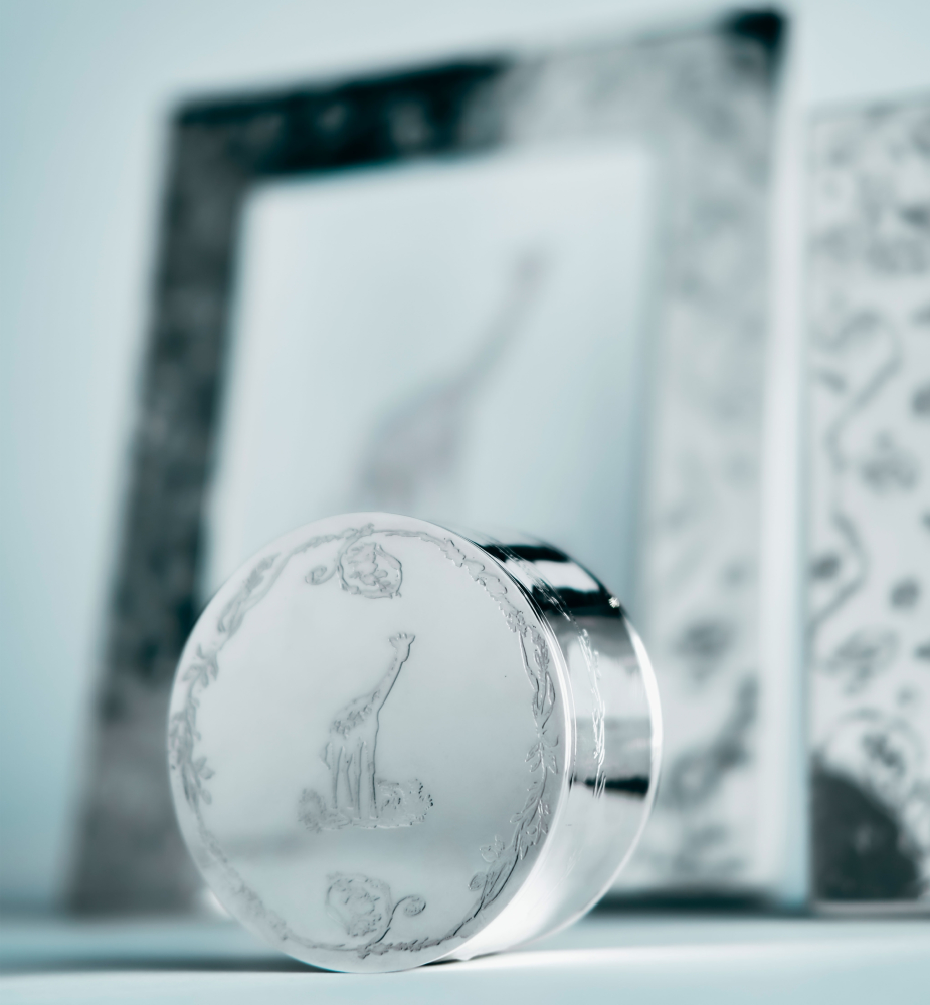 收藏箱 银色饰面金属 Innocence 茹伊印花图案 E12