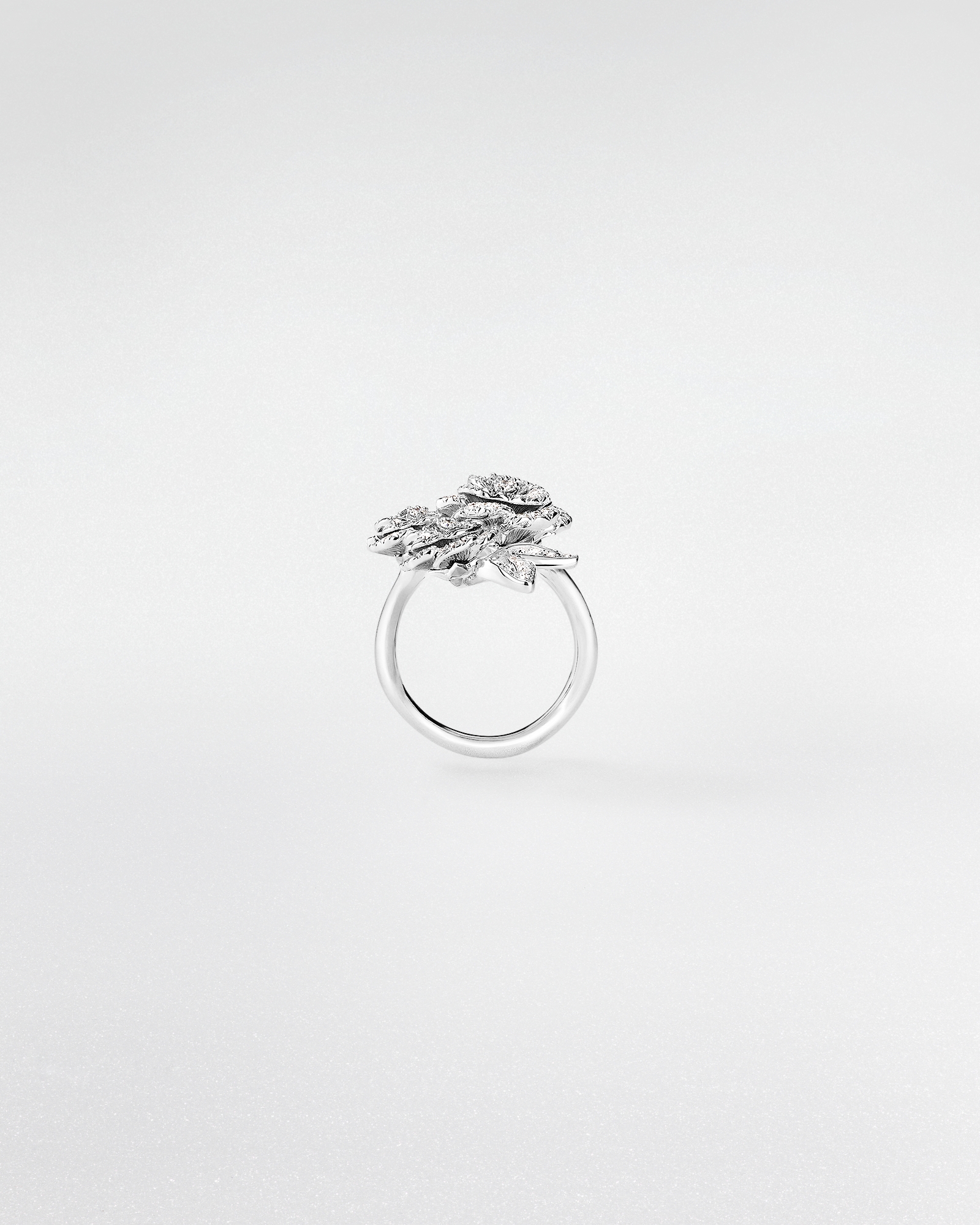 Rose Dior Bagatelle 戒指 白色 18K 金和钻石 E02