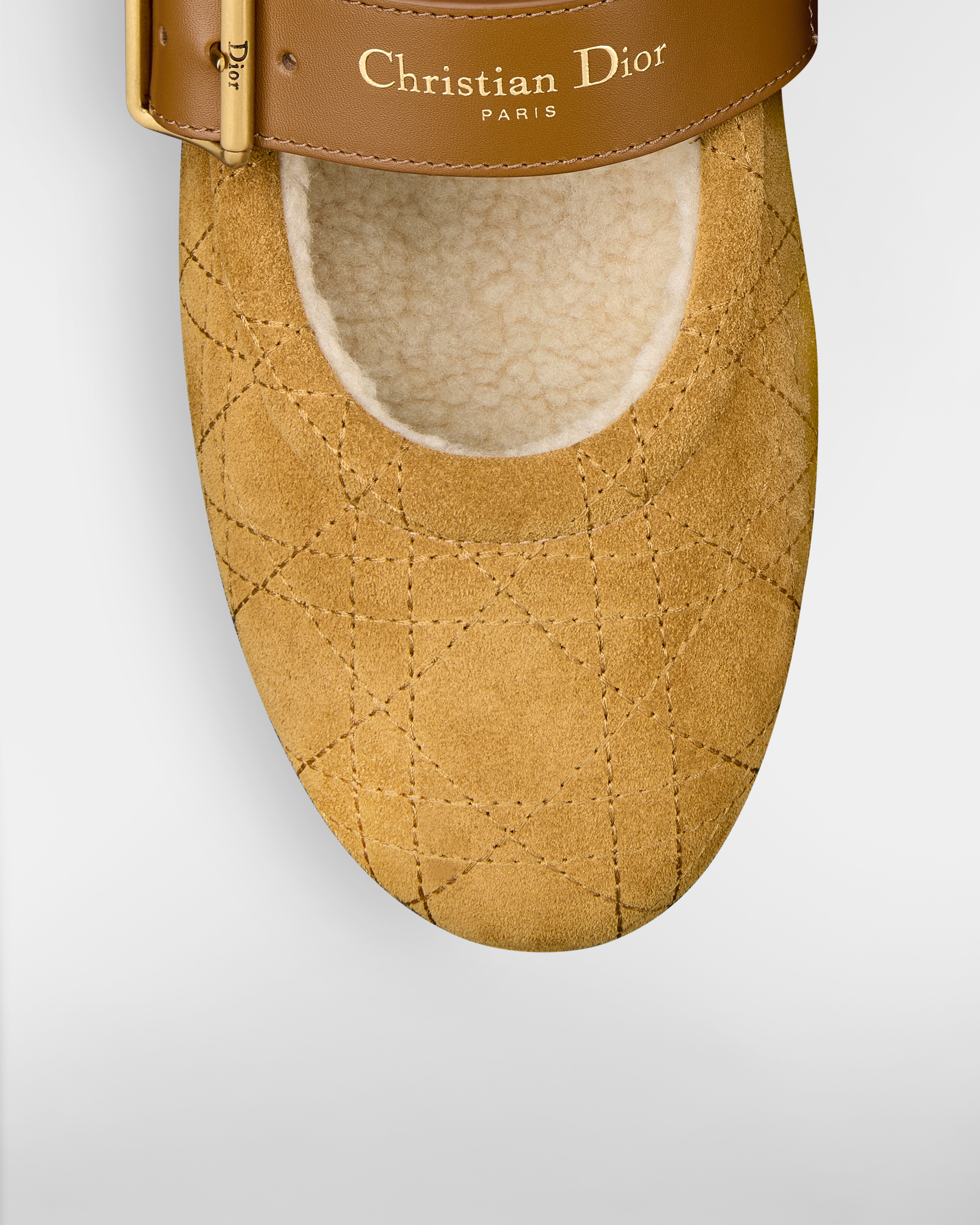 DiorAlps Dior Frost 芭蕾鞋 驼色绒面牛皮革藤格纹 E09