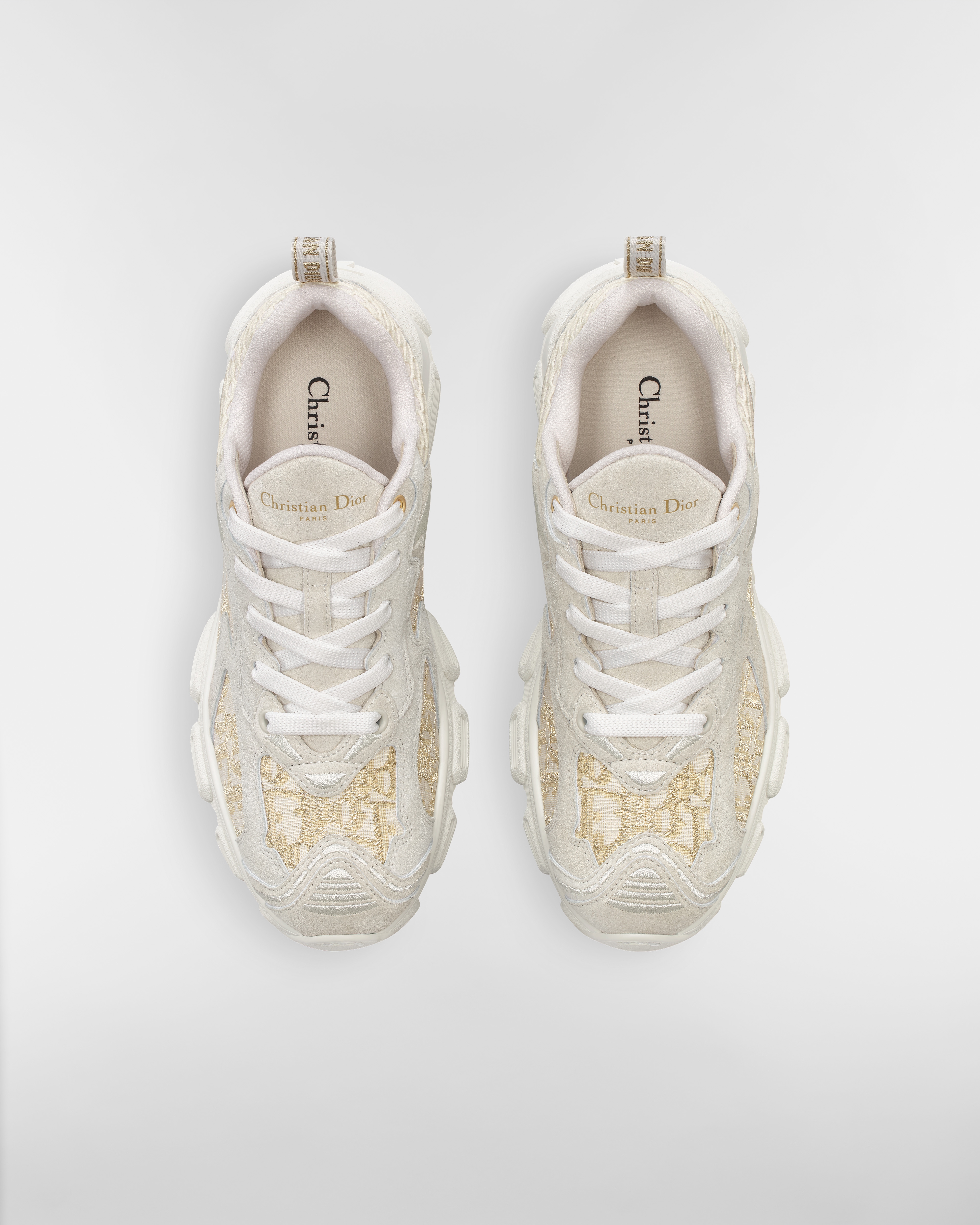 Dior Vibe 运动鞋 棉质面料金色金属光泽线 Oblique 印花，灰白色网面和灰色绒面牛皮革 E06