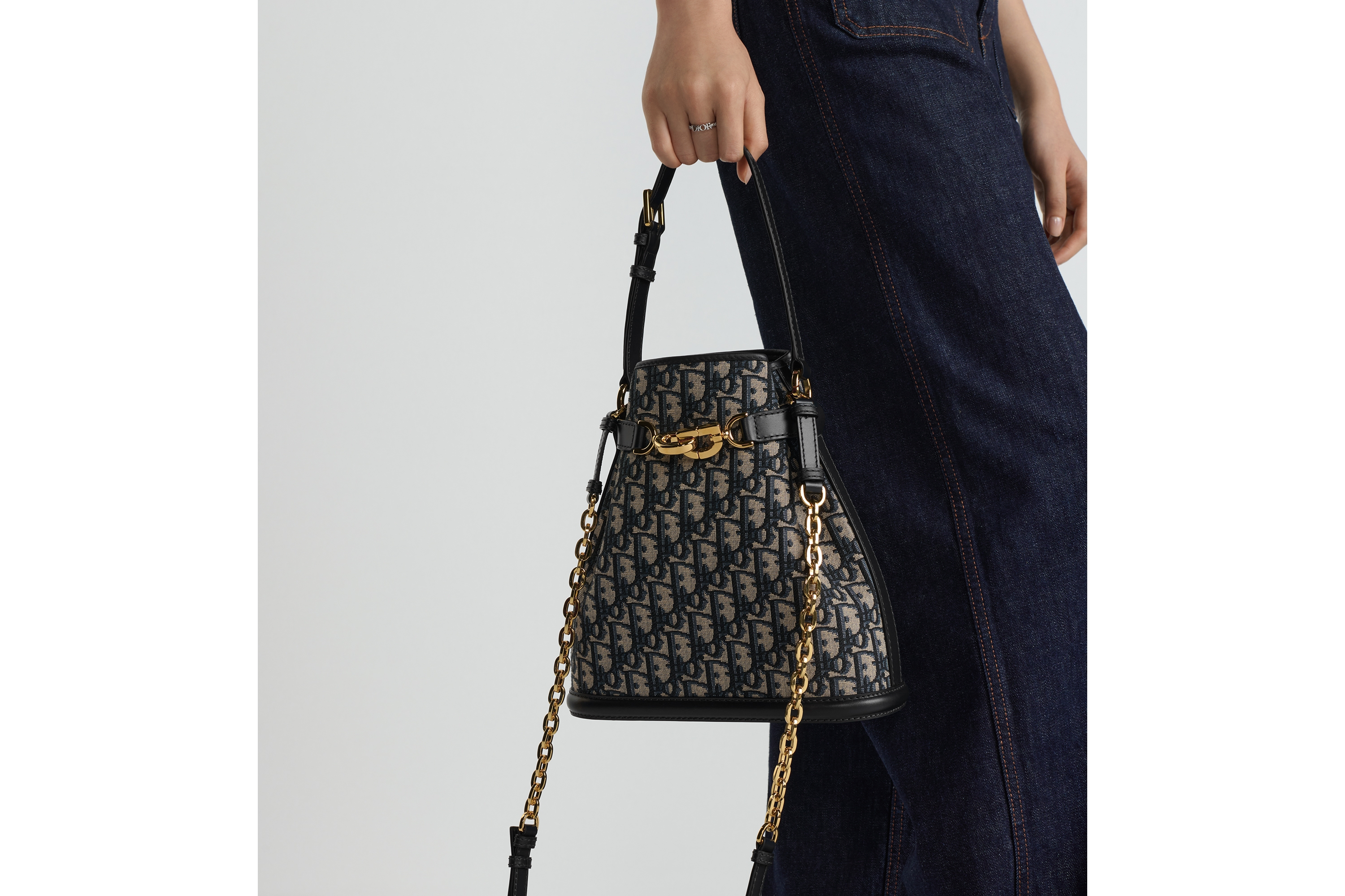 look_image_alt_prefix 中号 C'est Dior 手袋 蓝色 Oblique 印花面料 E11