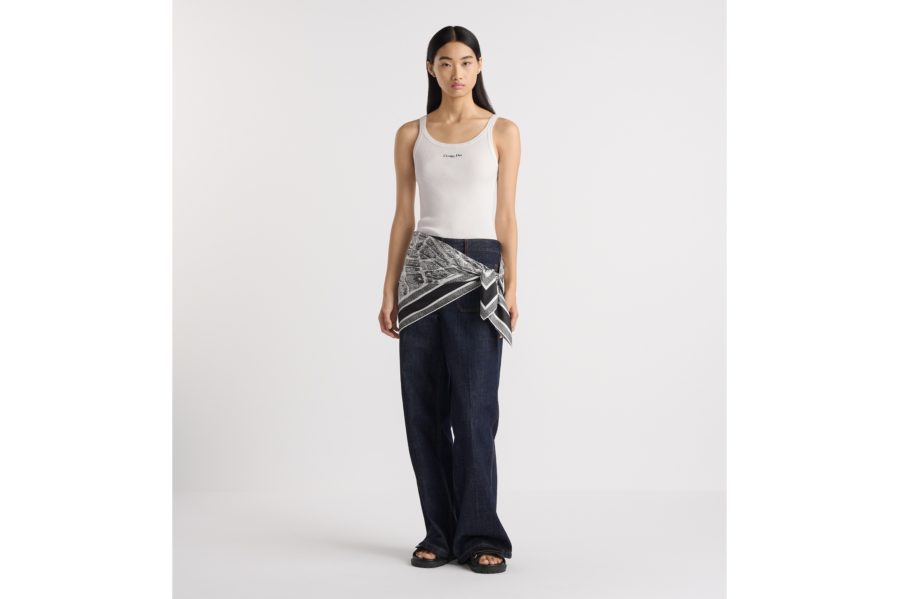 look_image_alt_prefix Dior 印花方巾 90 厘米白色和黑色桑蚕丝斜纹面料 Plan de Paris 印花 E17