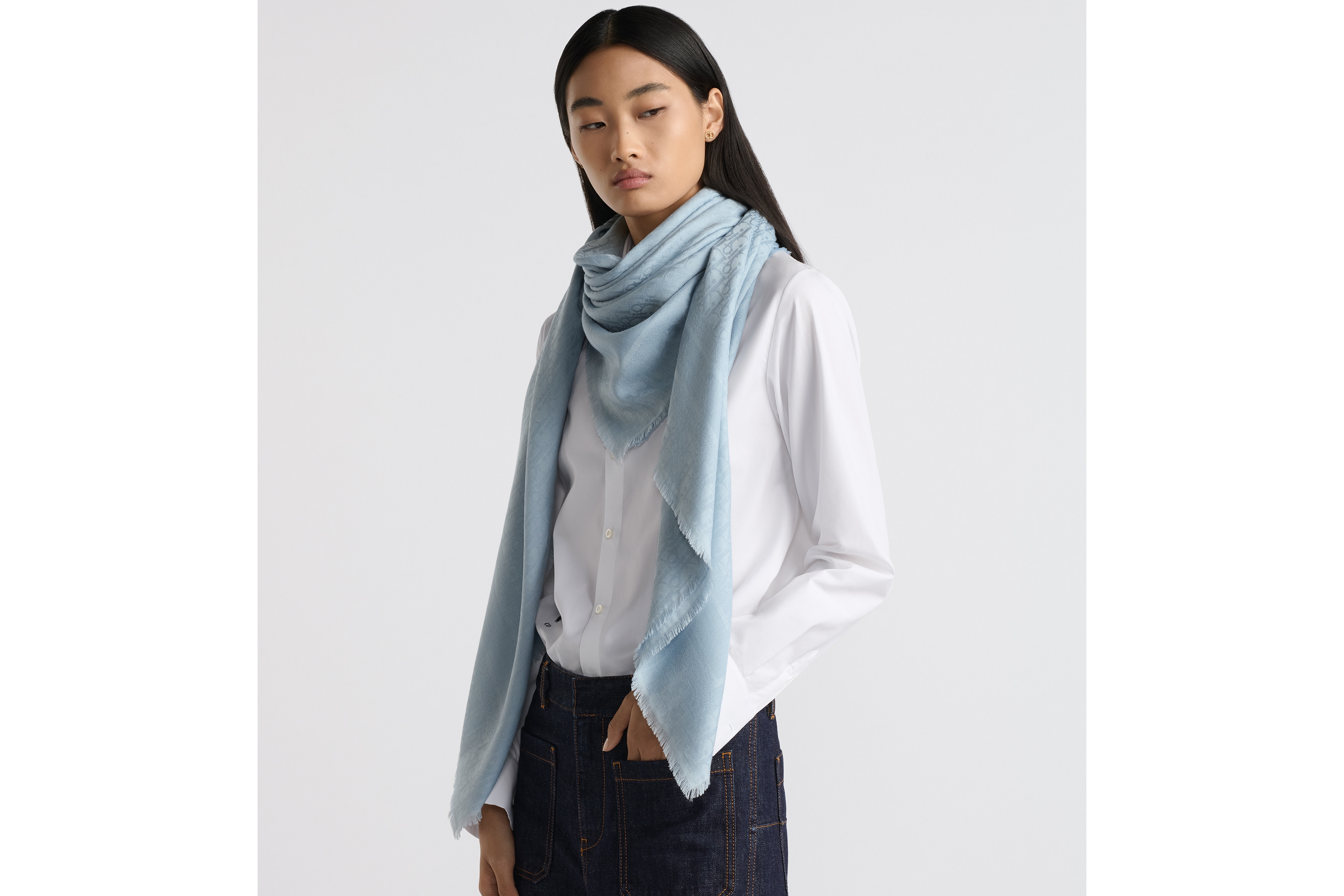 look_image_alt_prefix Dior 印花披肩 天际蓝绵羊毛混纺面料 Oblique 印花 E04