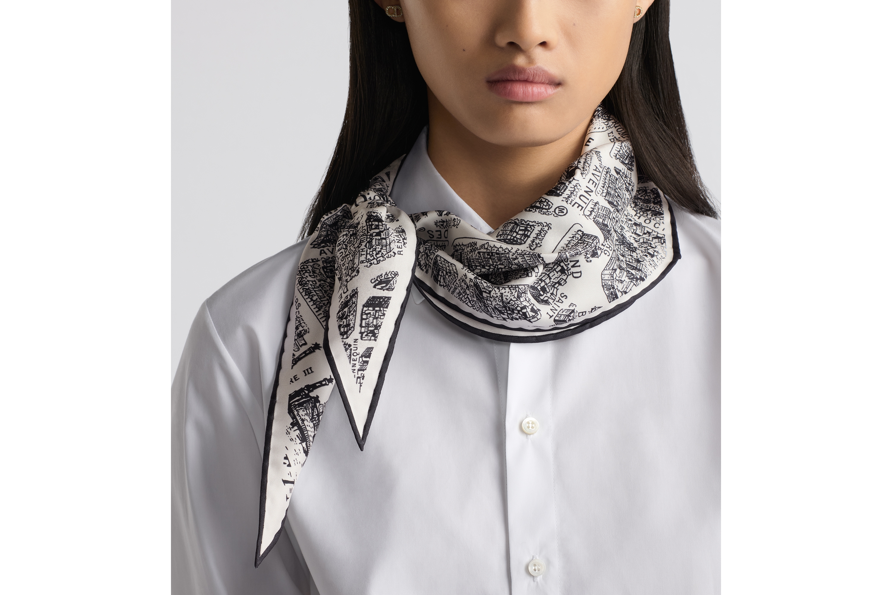 look_image_alt_prefix Dior Diamond 丝巾 白色和黑色桑蚕丝斜纹面料 Plan de Paris 印花 E12