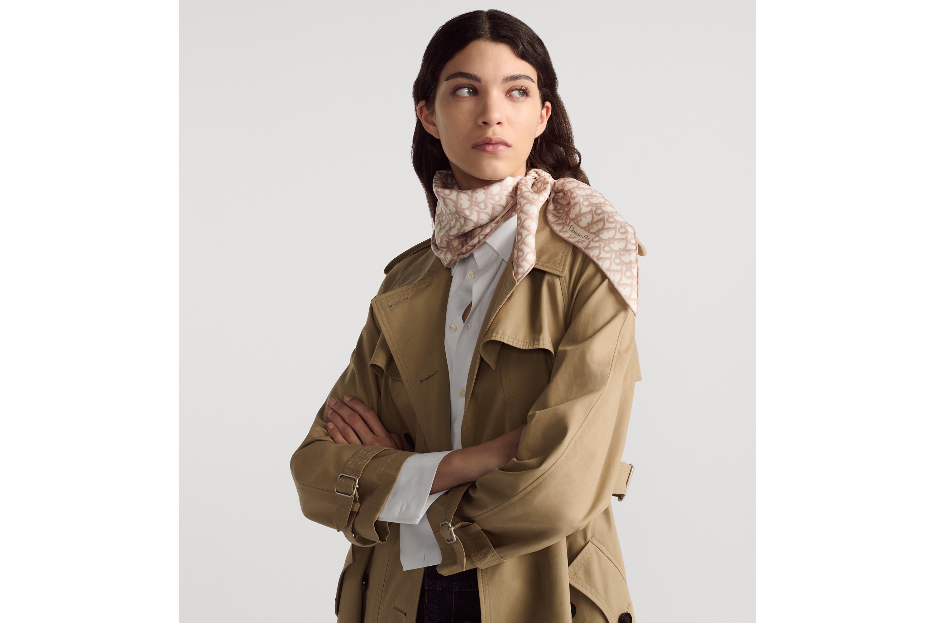 look_image_alt_prefix Dior Diamond 丝巾 玫瑰粉色桑蚕丝斜纹面料 Oblique 印花 E04