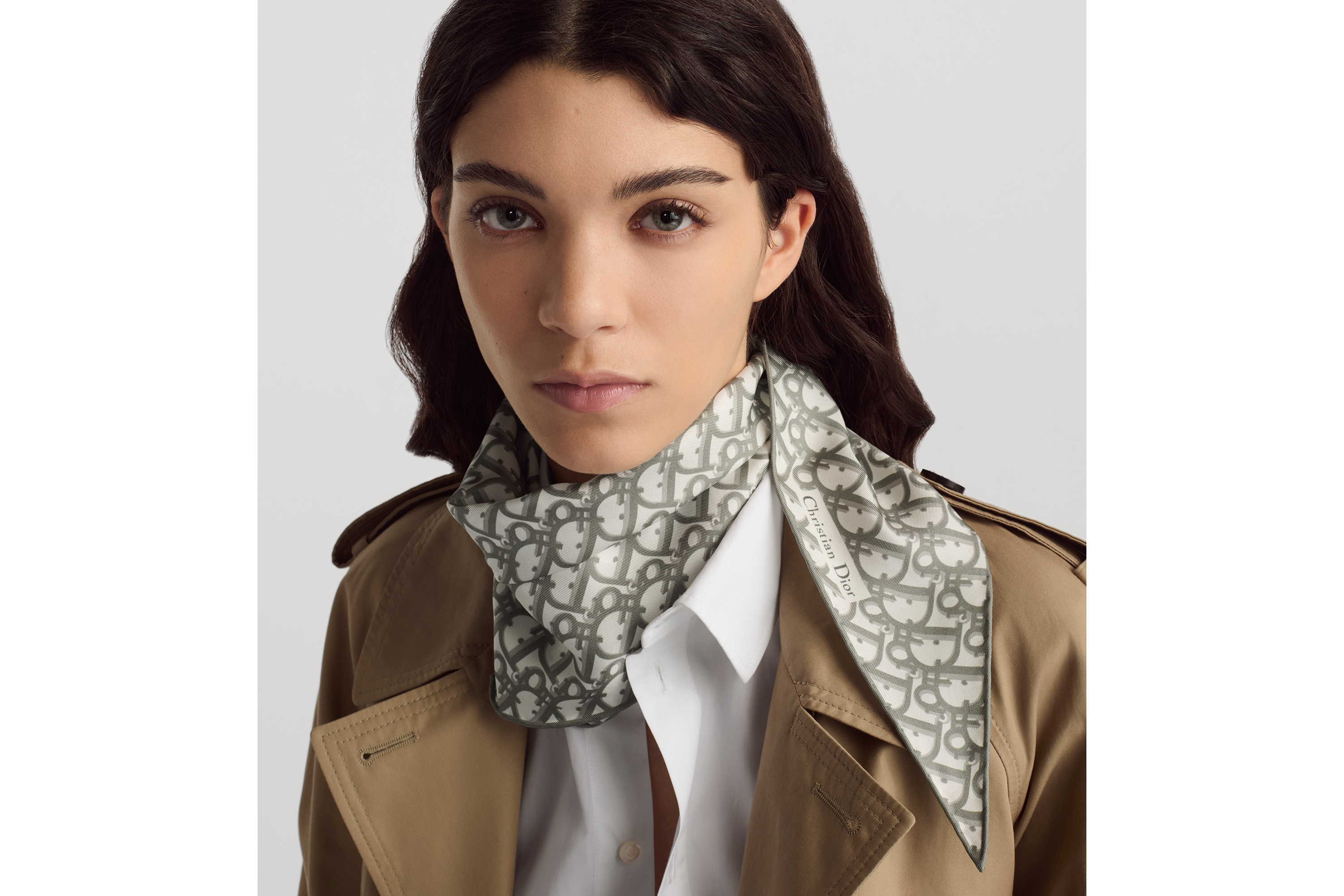 look_image_alt_prefix Dior Diamond 丝巾 灰色桑蚕丝斜纹面料 Oblique 印花 E07