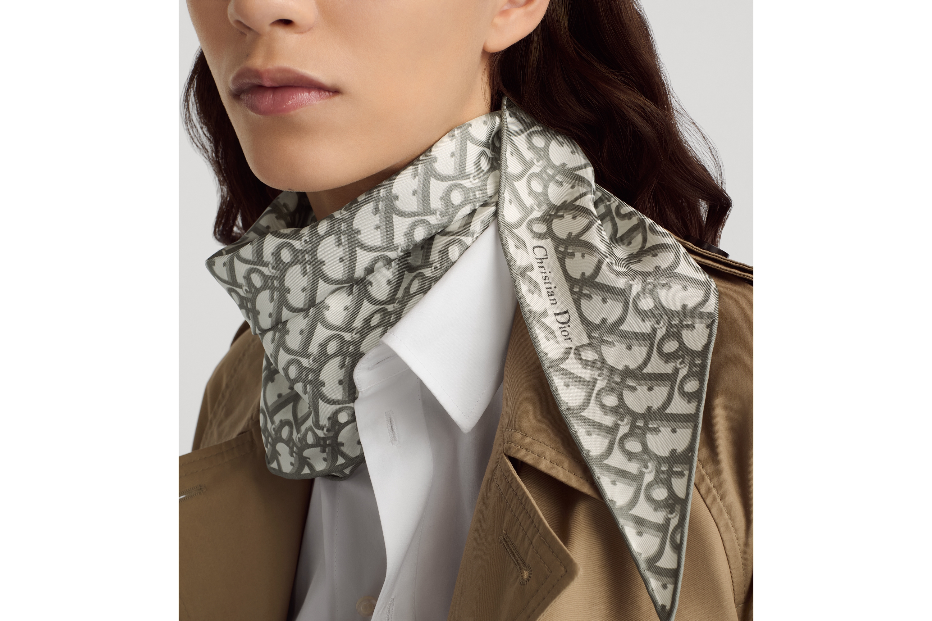 look_image_alt_prefix Dior Diamond 丝巾 灰色桑蚕丝斜纹面料 Oblique 印花 E12