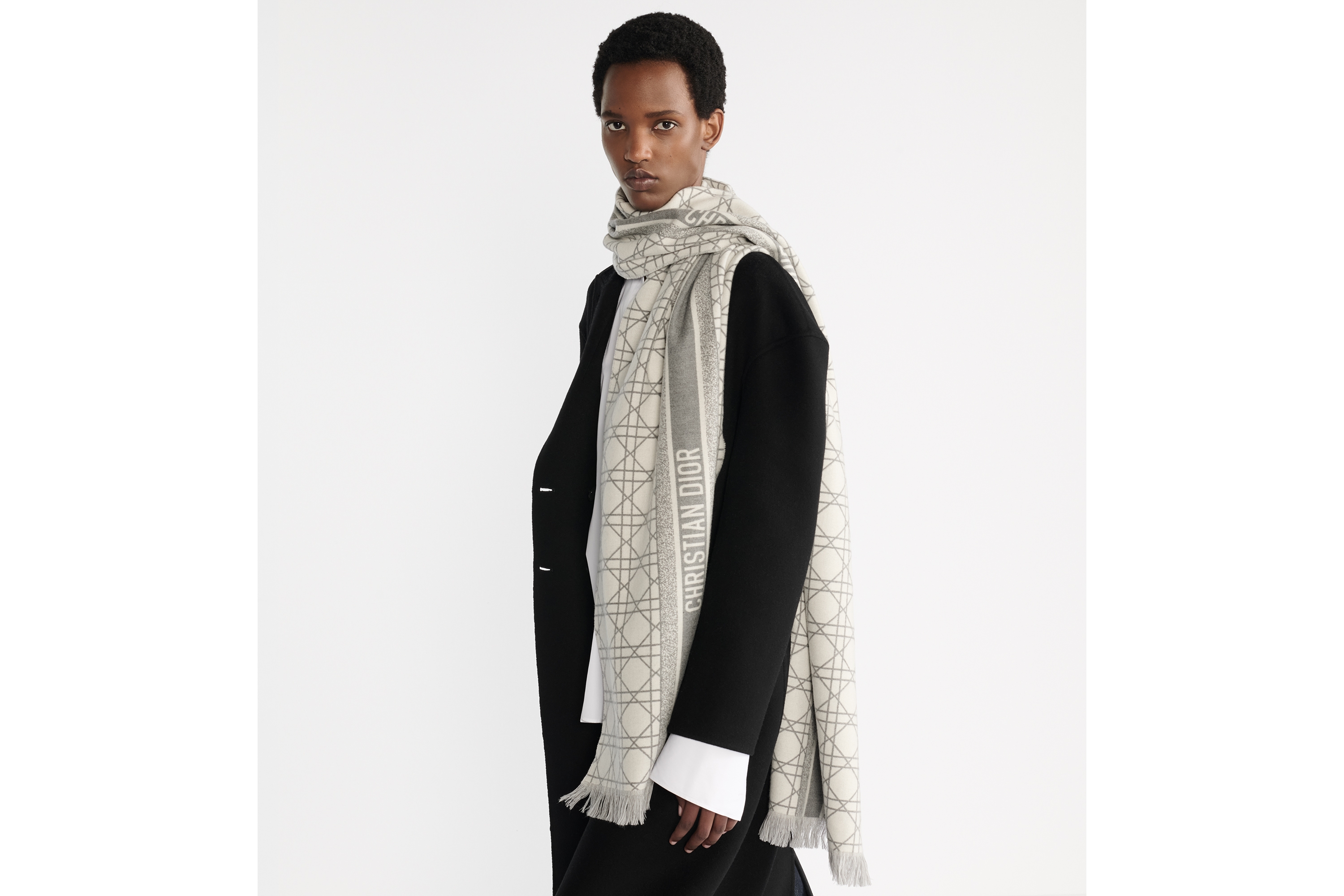 look_image_alt_prefix Dior Cannage 围巾 灰色和米白色山羊绒和绵羊毛混纺面料 E05