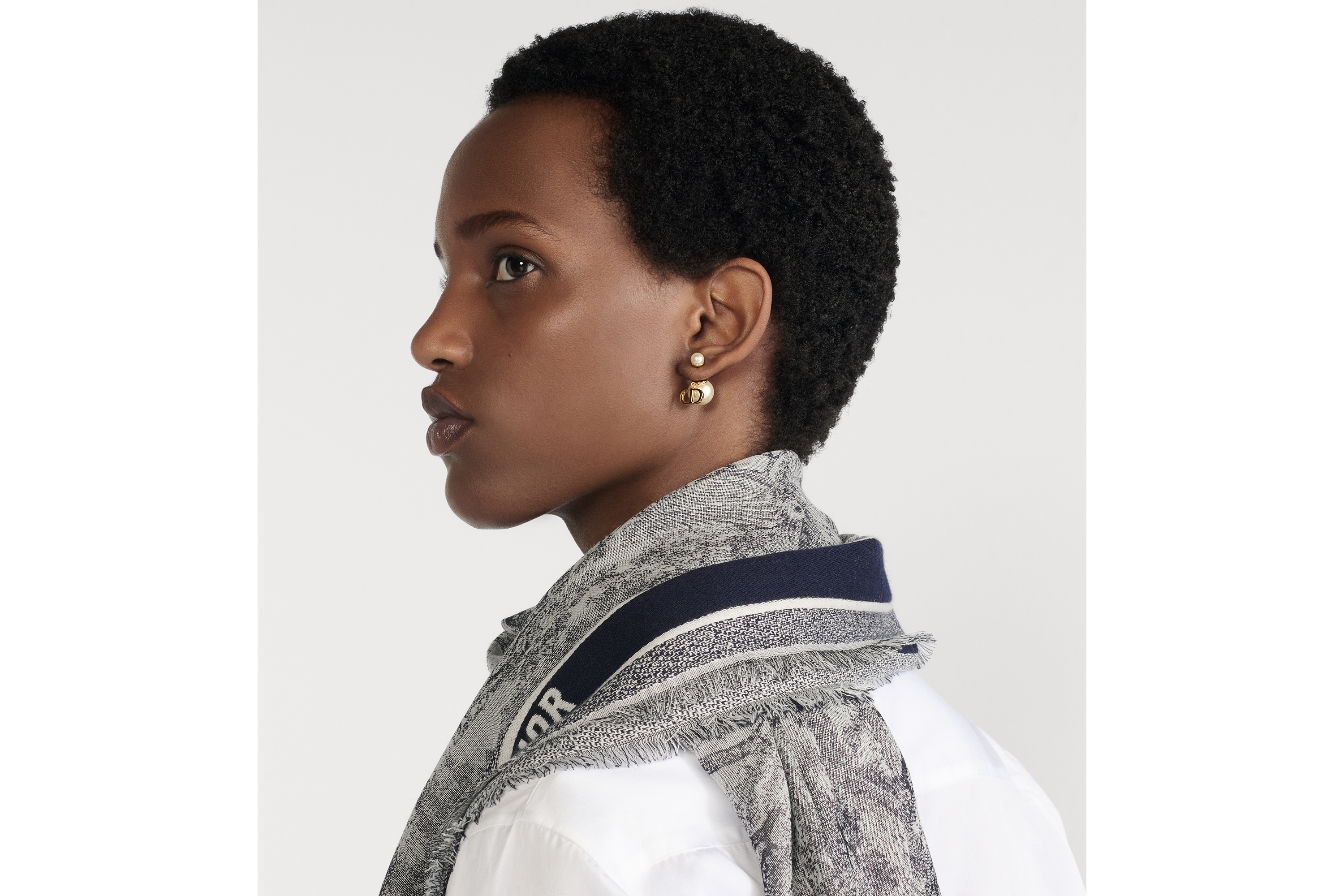 look_image_alt_prefix Dior 印花披肩 象牙色和蓝色绵羊毛和桑蚕丝混纺面料茹伊印花 E09