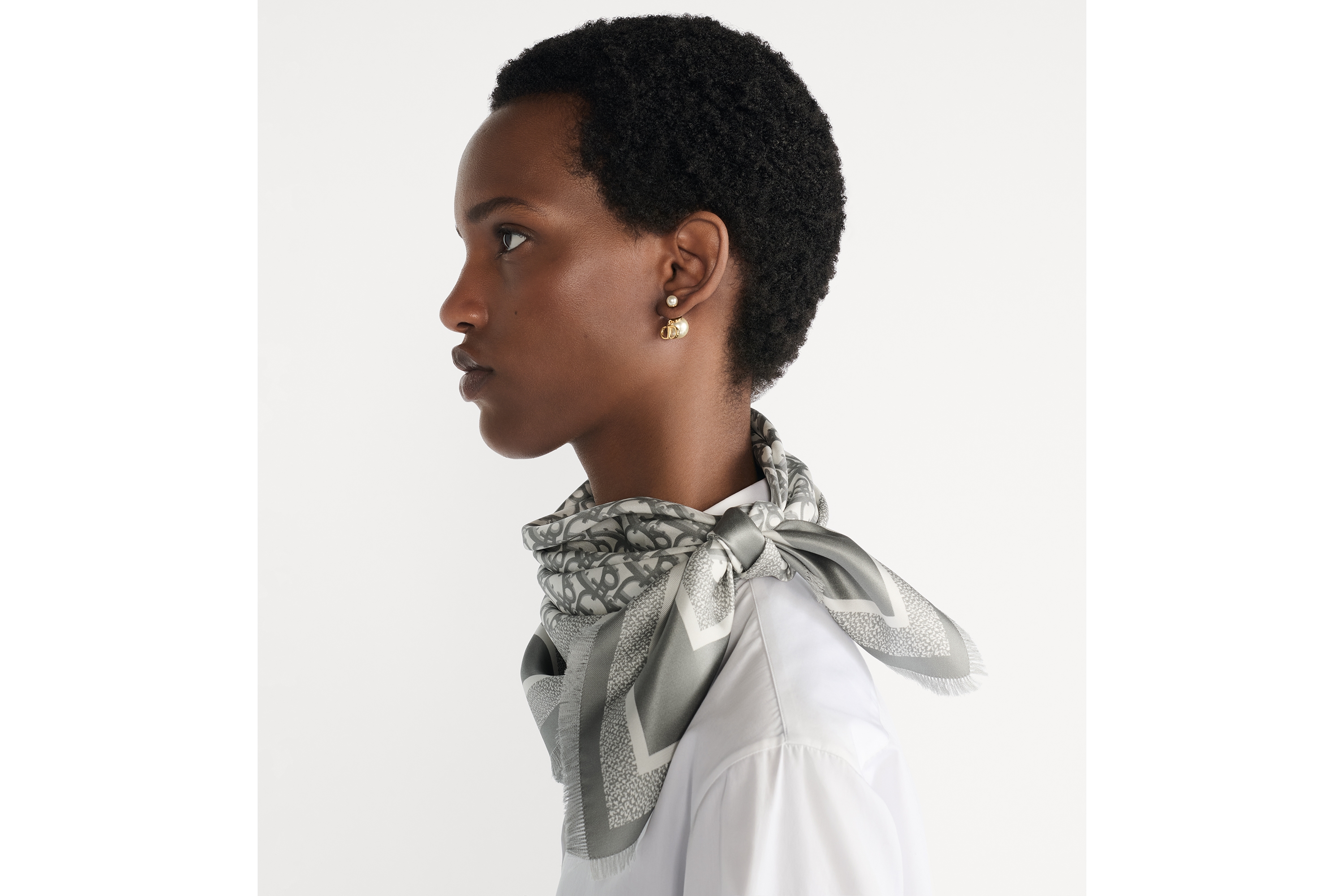 look_image_alt_prefix Diortwin 方巾 70 厘米灰色桑蚕丝斜纹面料 Oblique 印花 E07