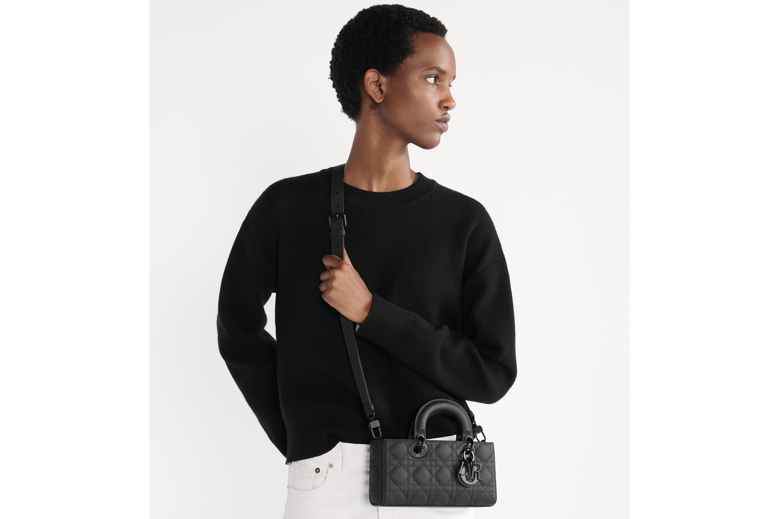 look_image_alt_prefix 小号 Lady D-Joy 手袋 黑色哑光牛皮革藤格纹 E04