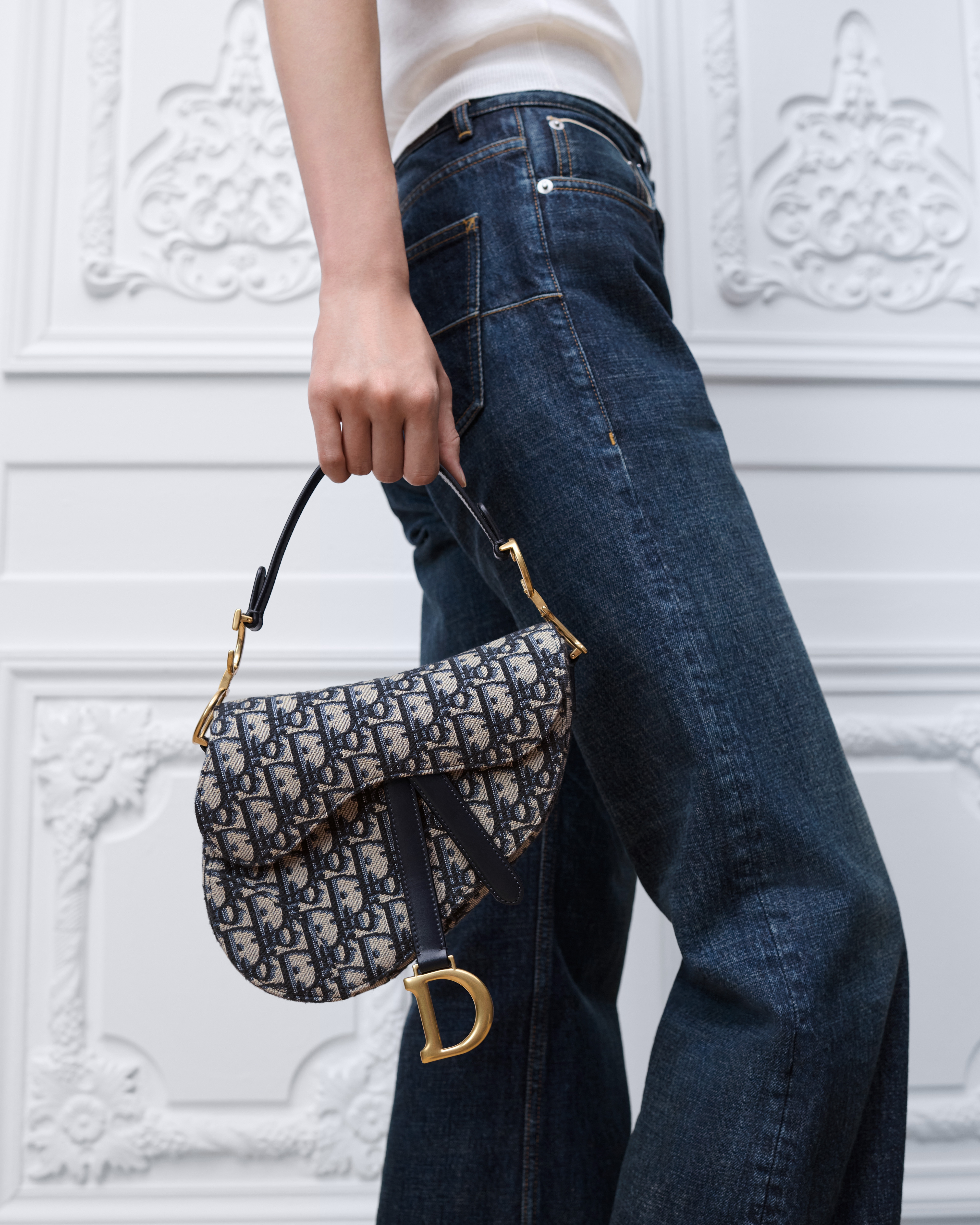 look_image_alt_prefix 小号马鞍包（附肩带） 蓝色 Oblique 印花面料 E11