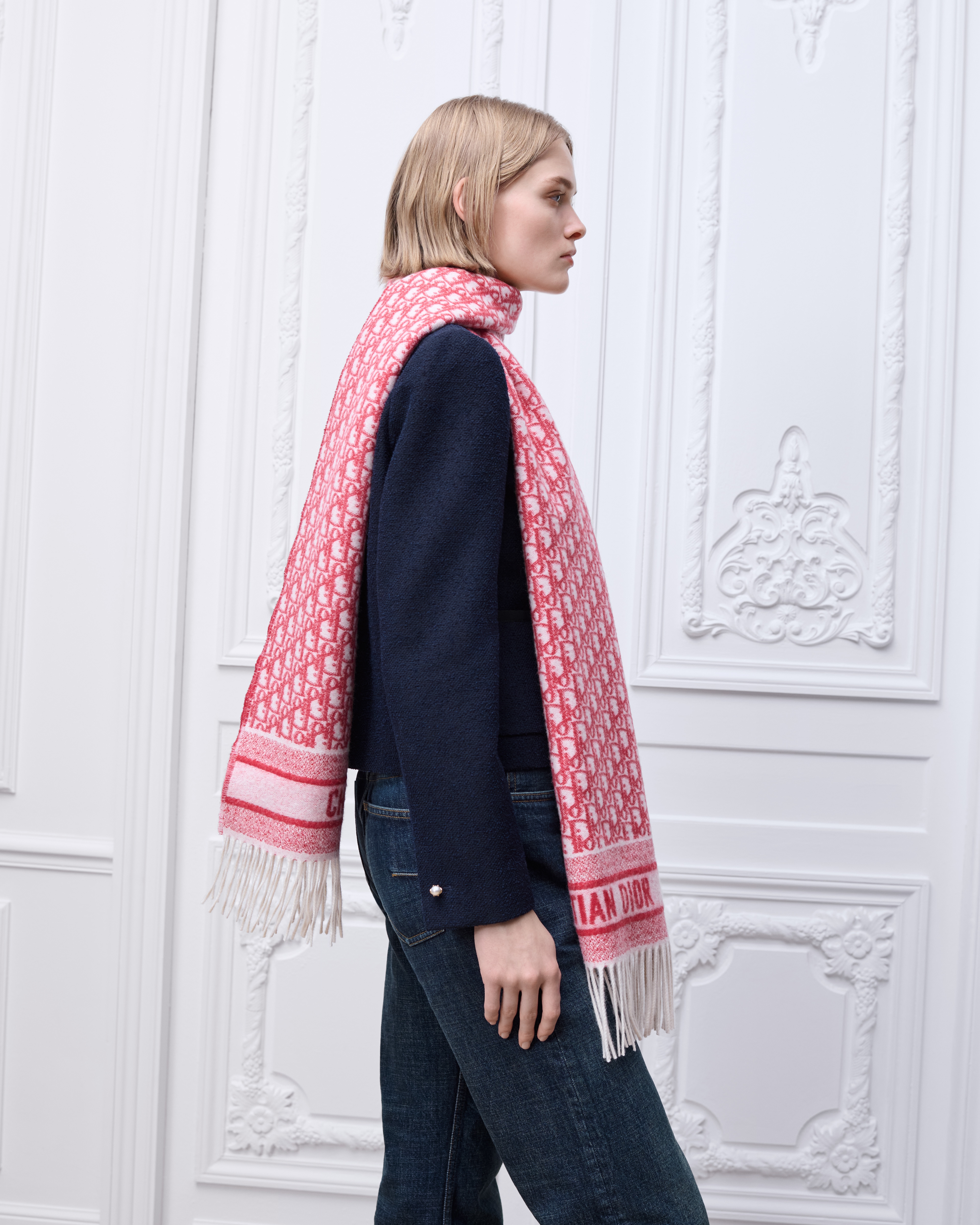 look_image_alt_prefix Dior 印花围巾 红色山羊绒混纺面料和红色金属光泽线 Oblique 印花 E05