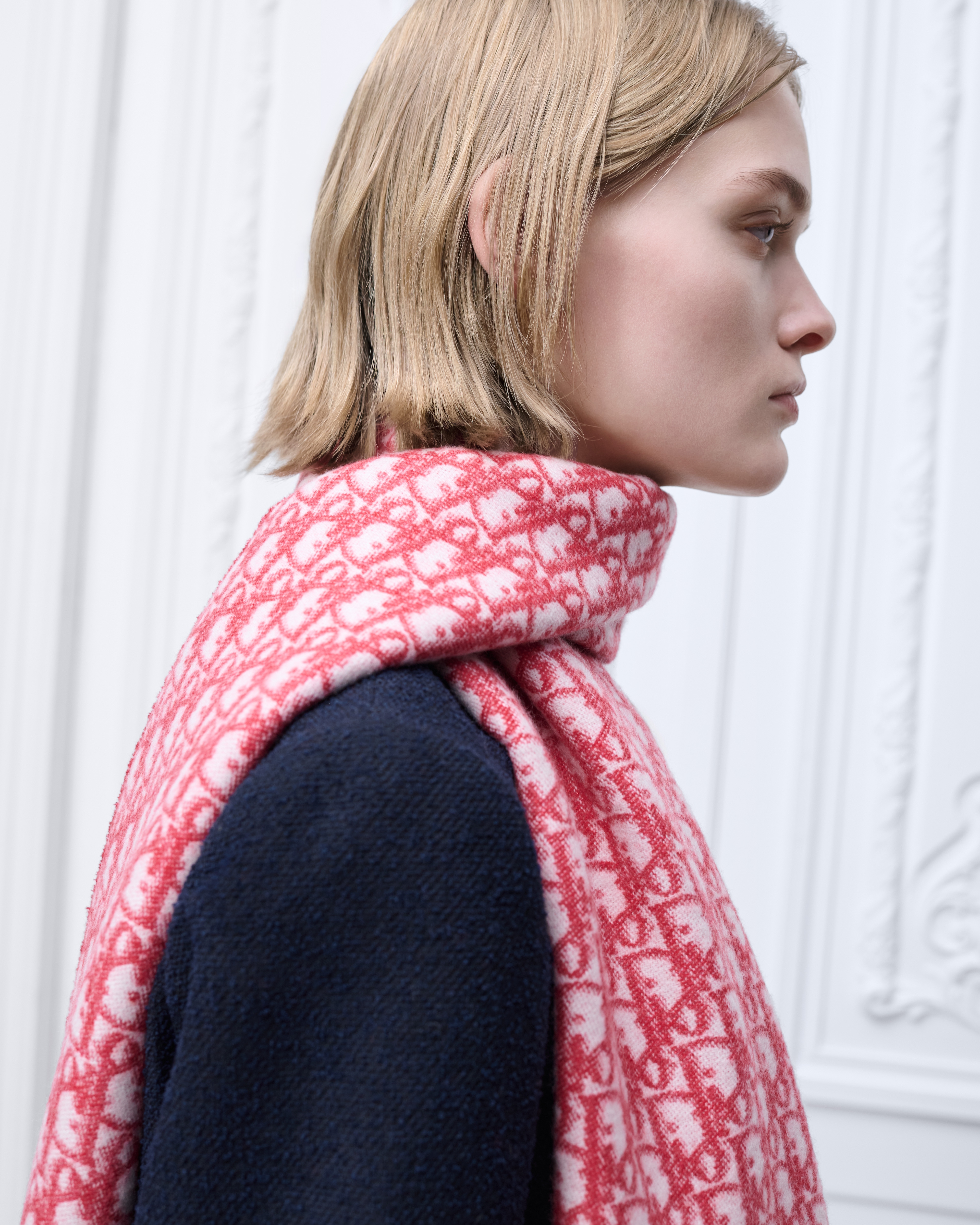 look_image_alt_prefix Dior 印花围巾 红色山羊绒混纺面料和红色金属光泽线 Oblique 印花 E08