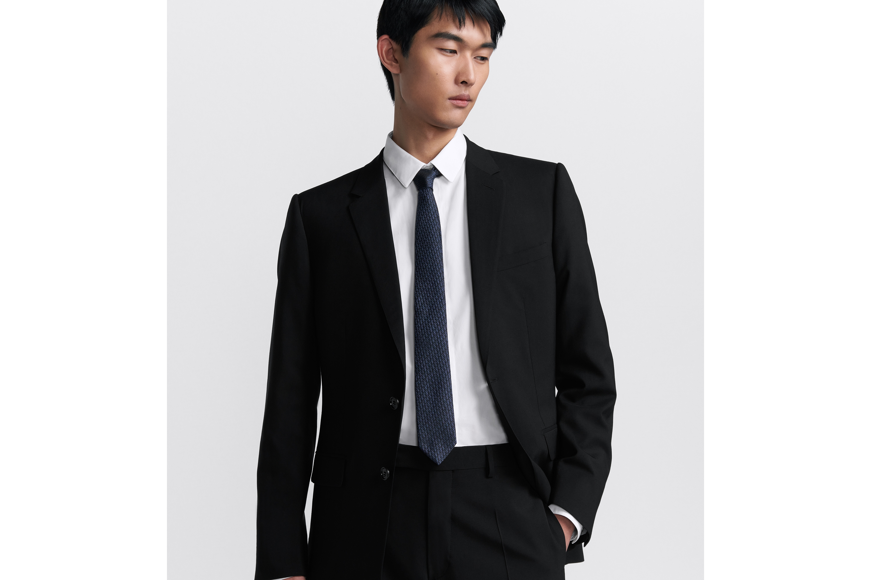 look_image_alt_prefix Dior 印花领带 蓝色和黑色桑蚕丝 Oblique 印花 E35