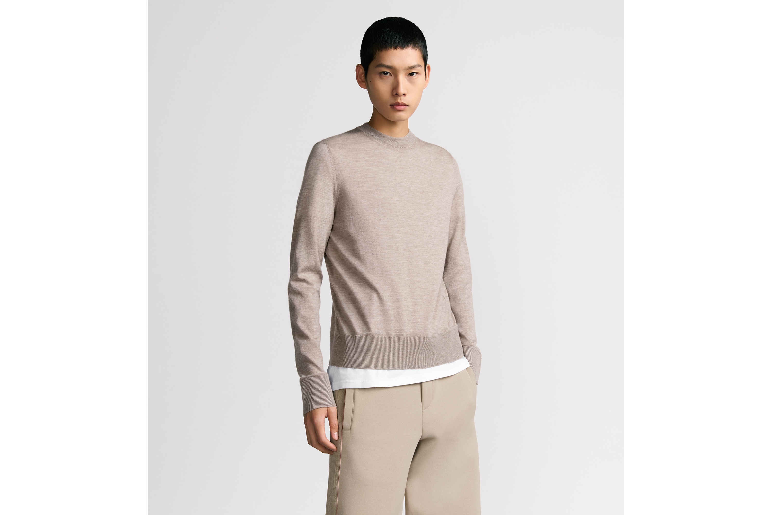 look_image_alt_prefix 圆领毛衫 米色山羊绒平纹针织面料 CD Icon 刺绣 E07