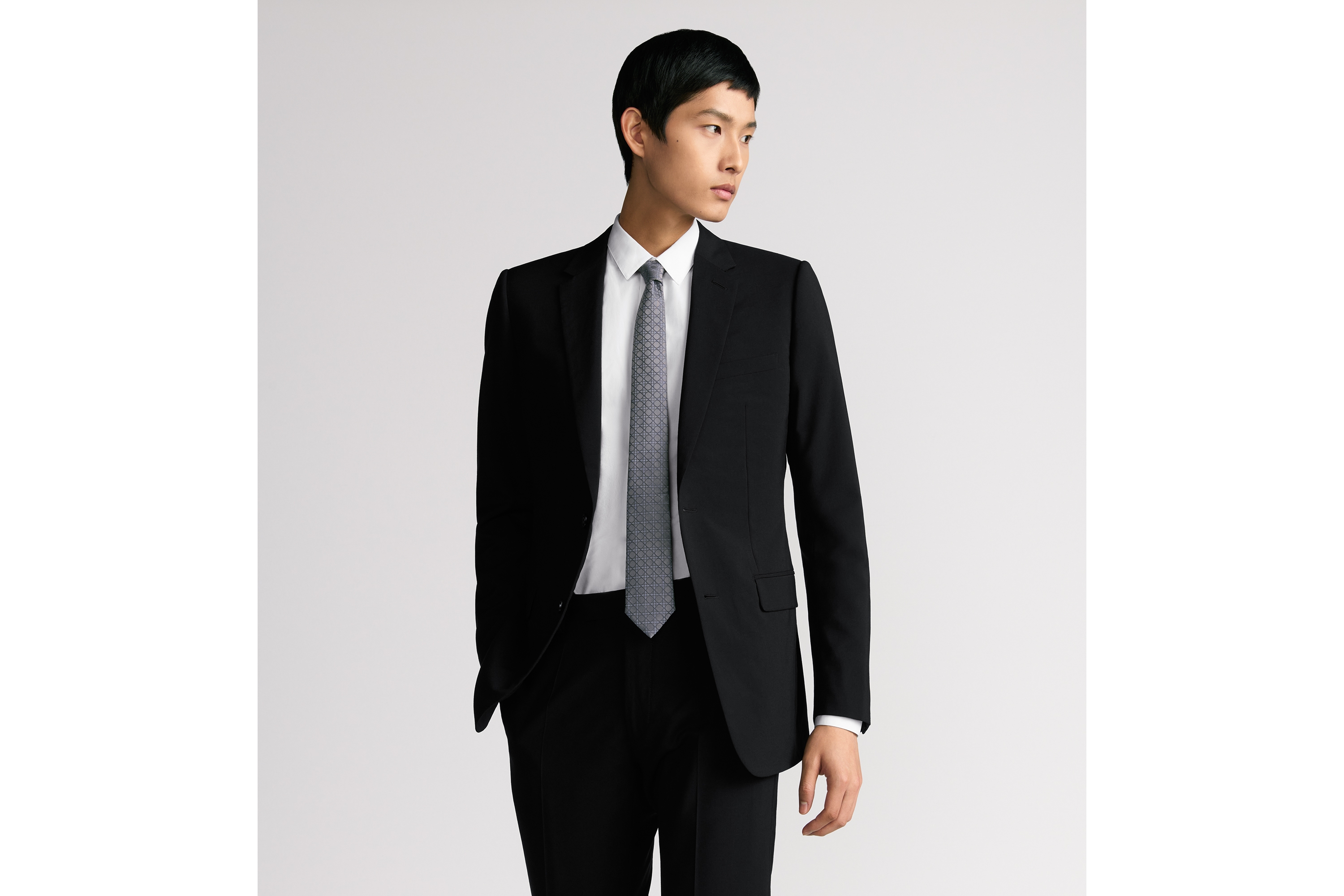 Dior 印花领带 灰色和蓝色桑蚕丝面料藤格纹 E35