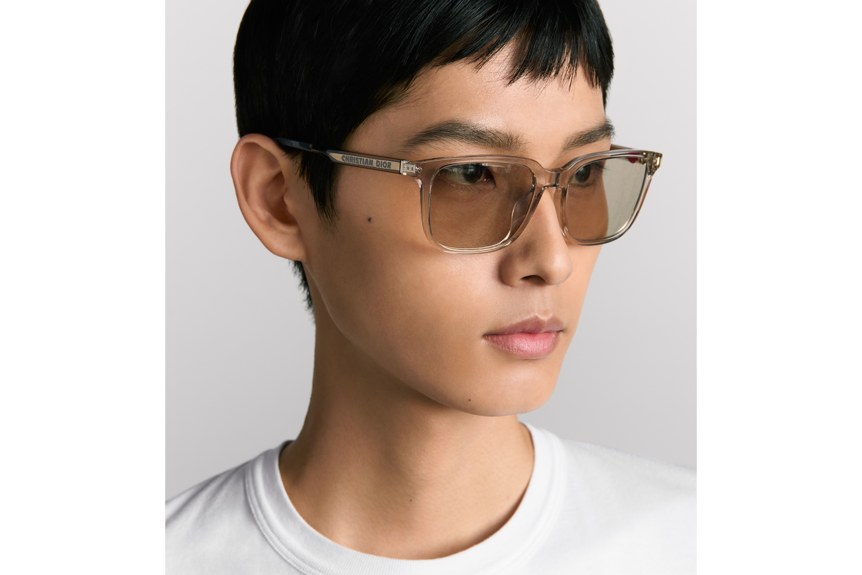 DiorTag SU 太阳眼镜 米色半透明方形镜框 E29