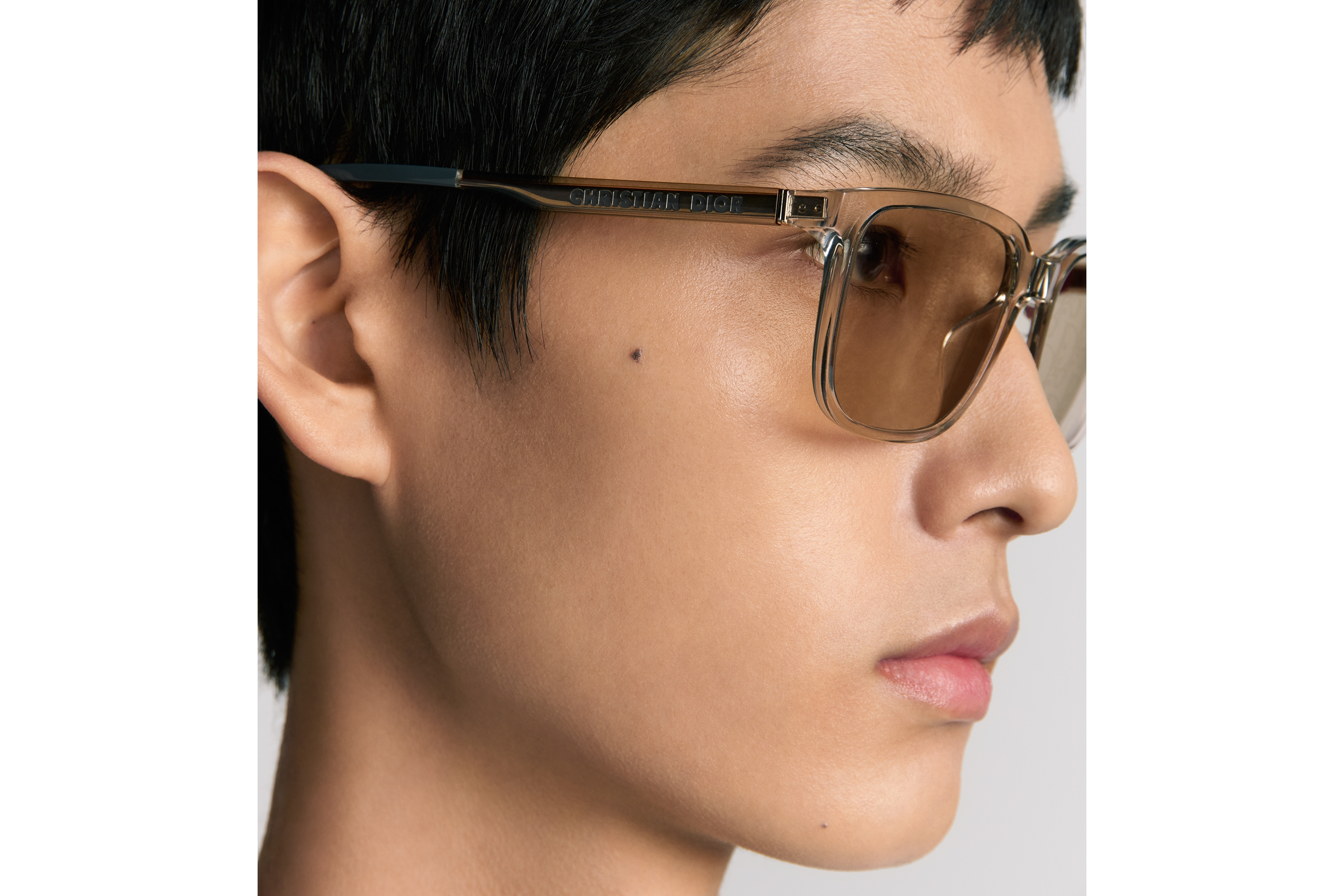 DiorTag SU 太阳眼镜 米色半透明方形镜框 E30