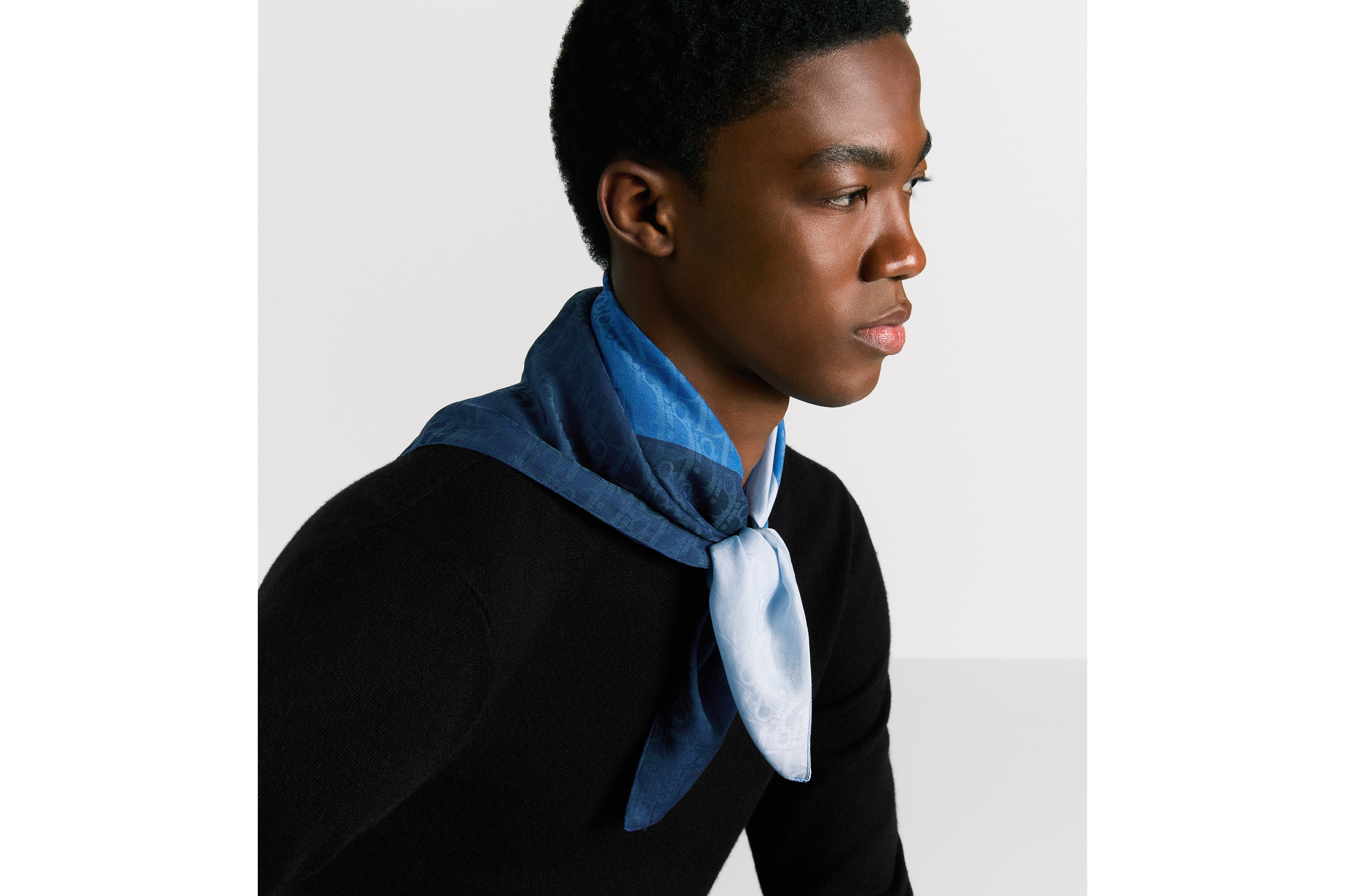 look_image_alt_prefix Dior 印花饰巾 蓝色色块棉质和桑蚕丝混纺面料 Oblique 印花 E32