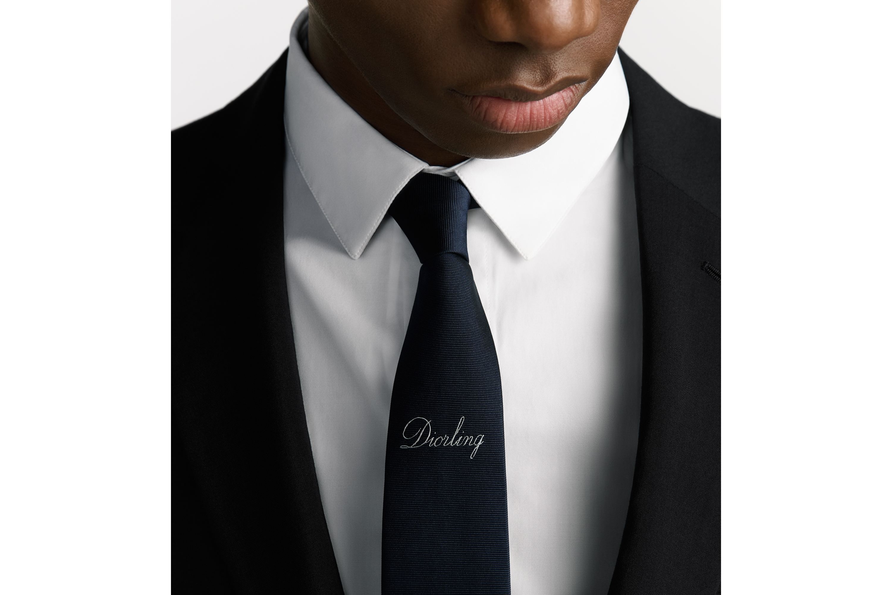 look_image_alt_prefix 领带 海军蓝色桑蚕丝面料迪奥之爱标志 E36