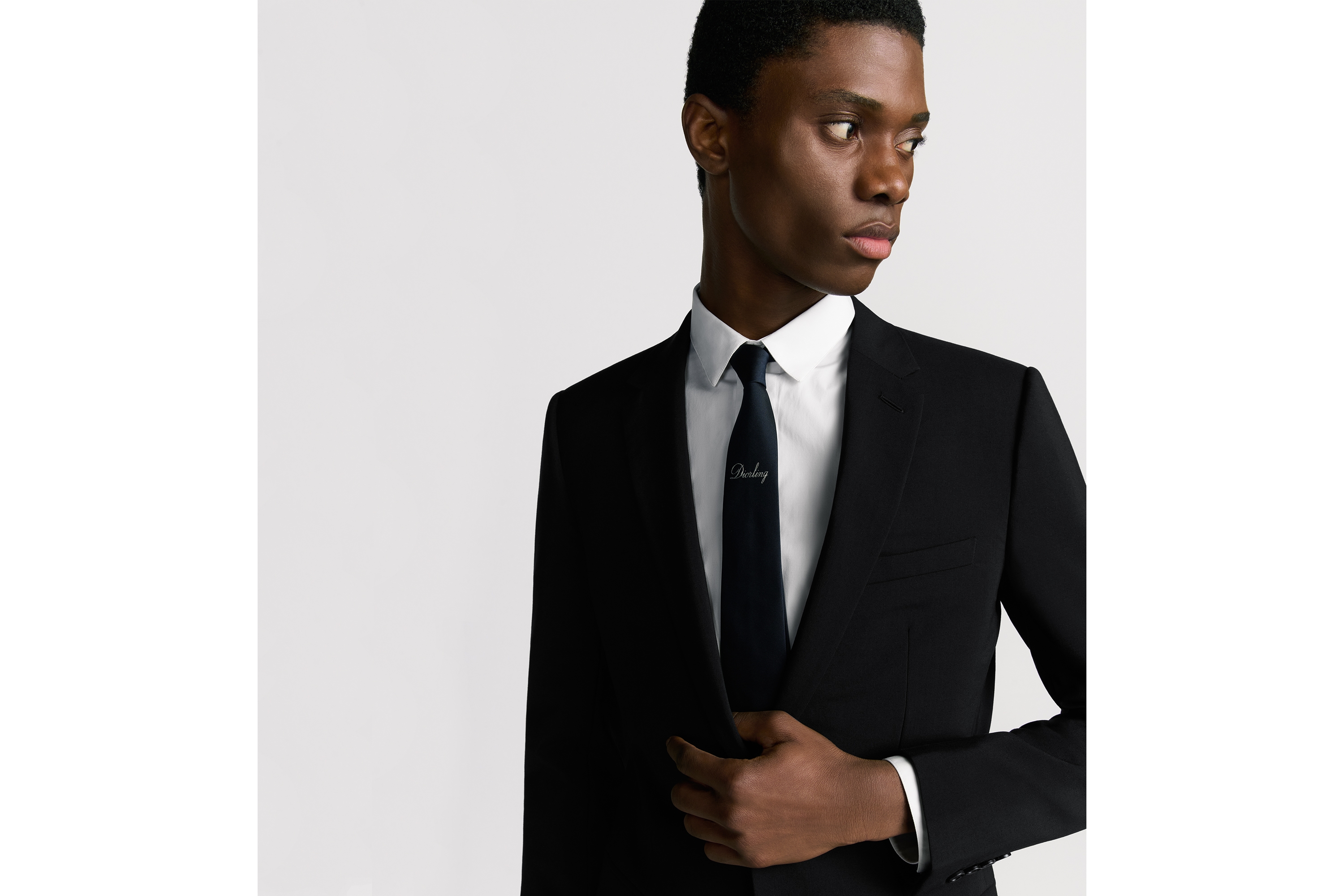 look_image_alt_prefix 领带 海军蓝色桑蚕丝面料迪奥之爱标志 E37