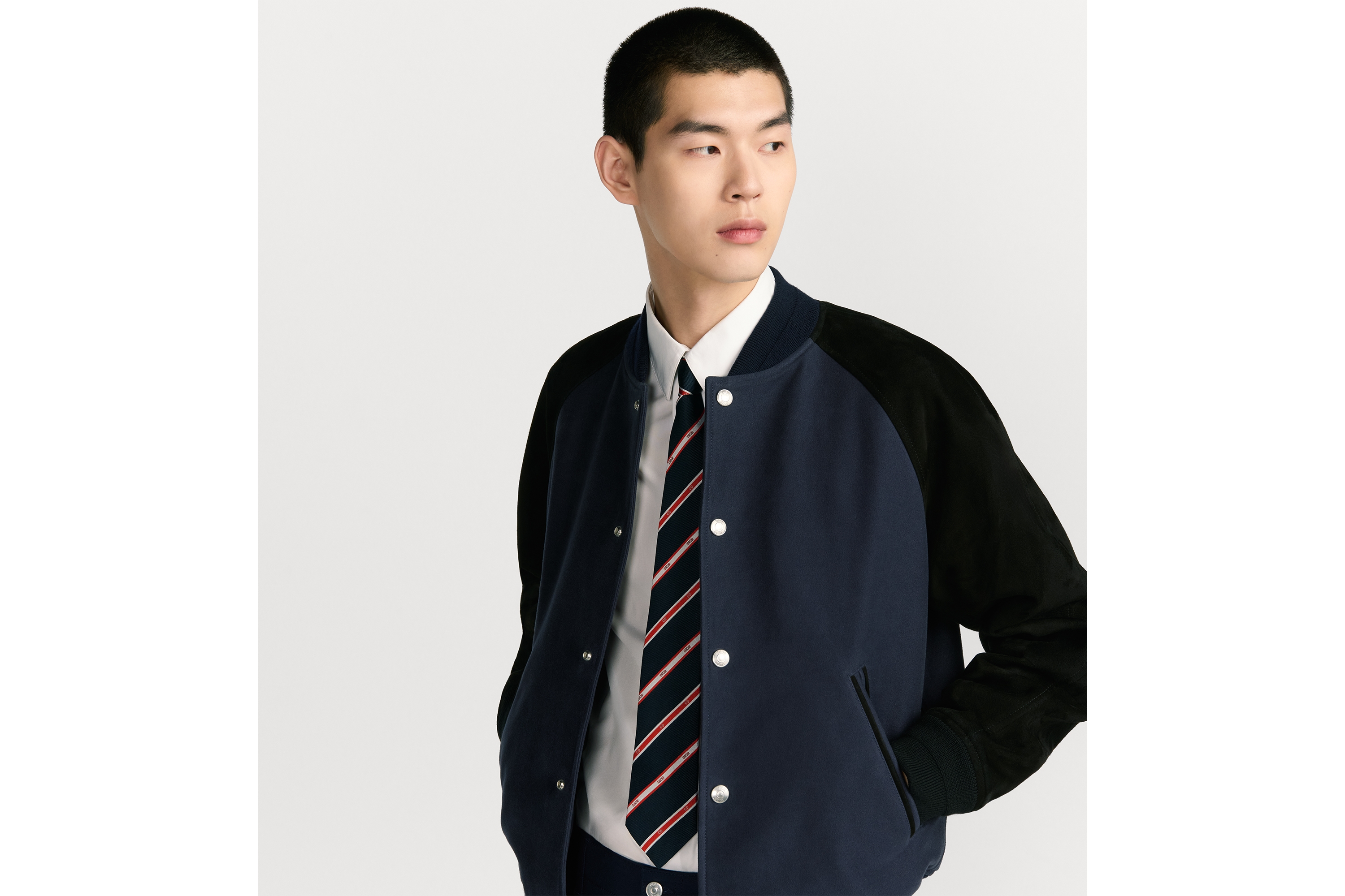 Dior Club 领带 海军蓝色、红色和白色桑蚕丝面料条纹图案 E35